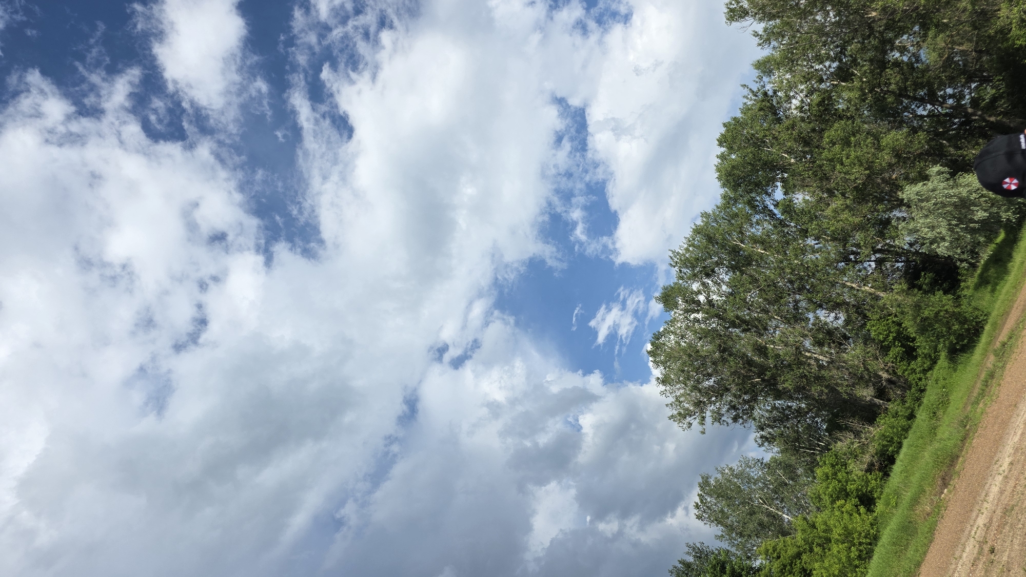 The image shows a bright, partly cloudy sky over a wooded area and a grassy slope. The trees are tall and lush green, with some lighter foliage interspersed. The sky is a vibrant blue with scattered white and grey clouds, suggesting fair weather with a possibility of rain. The ground in the foreground is a mix of dry, brown dirt and green grass, indicating a natural, outdoor setting. The overall impression is a scenic view, likely in a rural or park-like environment. There is a partial view of a person's head and shoulders wearing a black cap with a red and white emblem at the bottom right of the image. The location is specified as Дарьино, Russia, though no specific landmarks or city features are visible to confirm this within the image itself.
