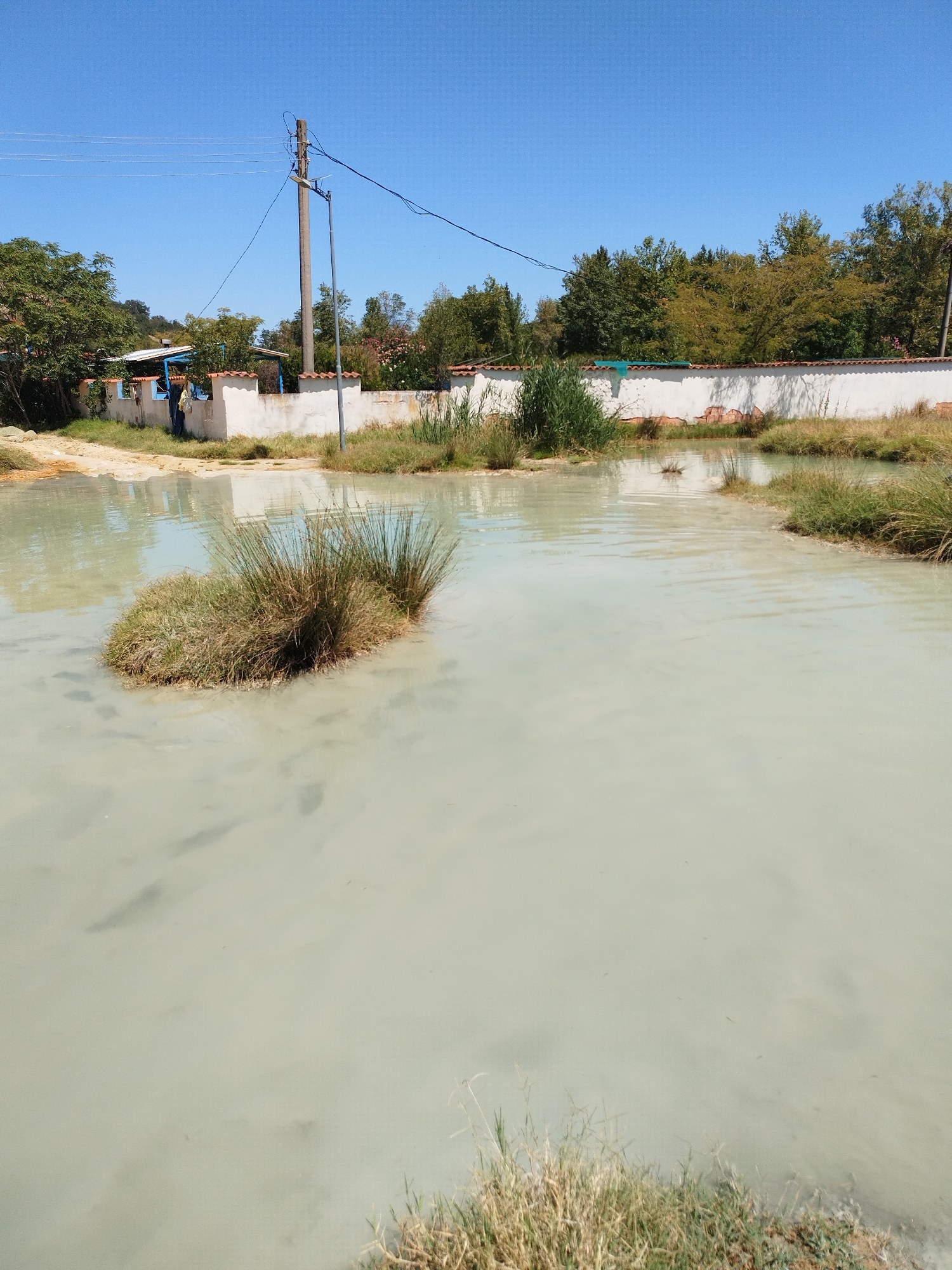 The image shows a body of milky-colored water, possibly a hot spring or mineral pool, in the city of General Todorov, Bulgaria. A small island of dry grass and reeds rises from the center of the water. The background features a low white wall with red-tiled trim, partially obscured by vegetation. A person wearing blue jeans and a light-colored bag is visible standing near a building behind the wall. A wooden utility pole with electrical wires stretches across the frame, against a clear blue sky. The water's surface is disturbed in places, with some darker shapes, potentially fish, visible beneath the surface. Dry grass and reeds line the edges of the water.