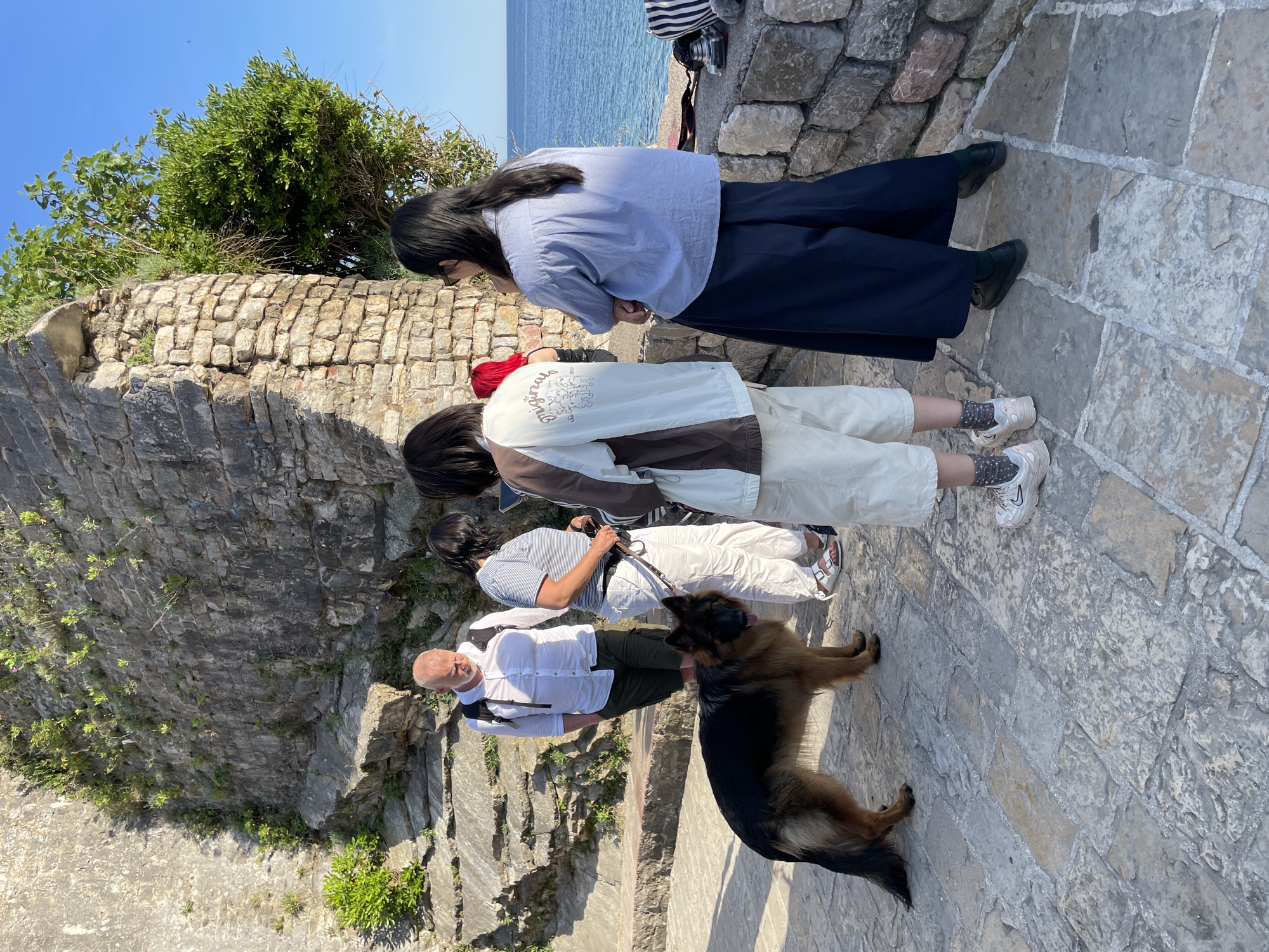 On a sunny day in Budva, Montenegro, a group of four people and a dog are standing on a stone path next to a stone wall, with the sea visible in the background. The first person, a woman, is wearing a light blue long-sleeved shirt and dark pants. The second person, another woman, is wearing a white jacket with brown accents and light-colored pants. The third person is wearing a striped shirt and light-colored pants. The fourth person, a man, is wearing a white shirt, dark pants, and a crossbody bag. The dog, a German Shepherd mix, is on a leash held by the man. All are on a platform that leads down to the beach.