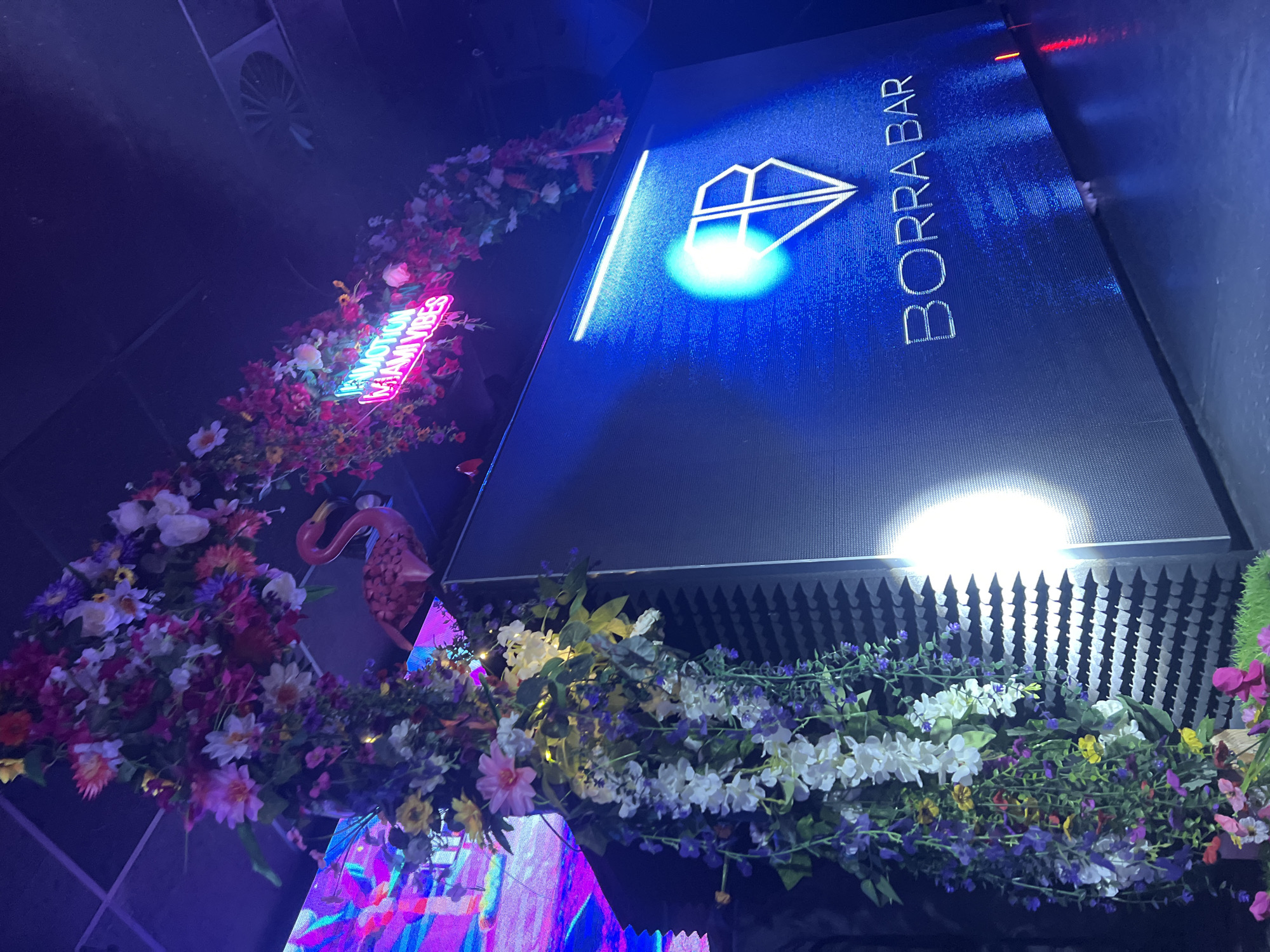 The image depicts an entrance or display area, possibly inside a nightclub or bar, featuring the sign "BORRA BAR" in stylized neon lighting with a geometric logo above it. The space is decorated with an abundance of artificial flowers, including red, white, and purple varieties, and some green foliage. A pink flamingo figure is also present amongst the flowers. The lighting is dark and colored, creating a nightlife atmosphere. An air conditioning vent is visible on the ceiling. The entrance or display area has sound dampening foam squares on its side.
No specific location information for Yambol, Bulgaria can be determined from this image.