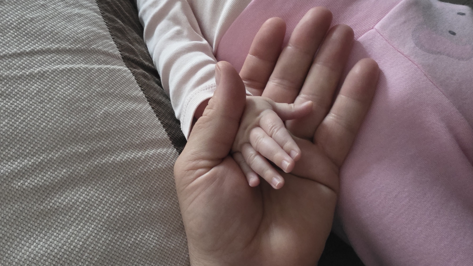 A high-angle shot shows a Caucasian adult hand holding the small hand of a baby. The baby's hand is resting on the adult's palm, fingers extended. The baby is wearing a long-sleeved white shirt underneath a pink outfit featuring a cartoon animal. The adult hand is light-skinned, with visible veins. A gray textured surface is visible on the left, and a pink fabric surface is seen to the right of the hands. The location cannot be determined based on this image, nor can it be definitively stated that this image was taken in Blagoevgrad, Bulgaria.