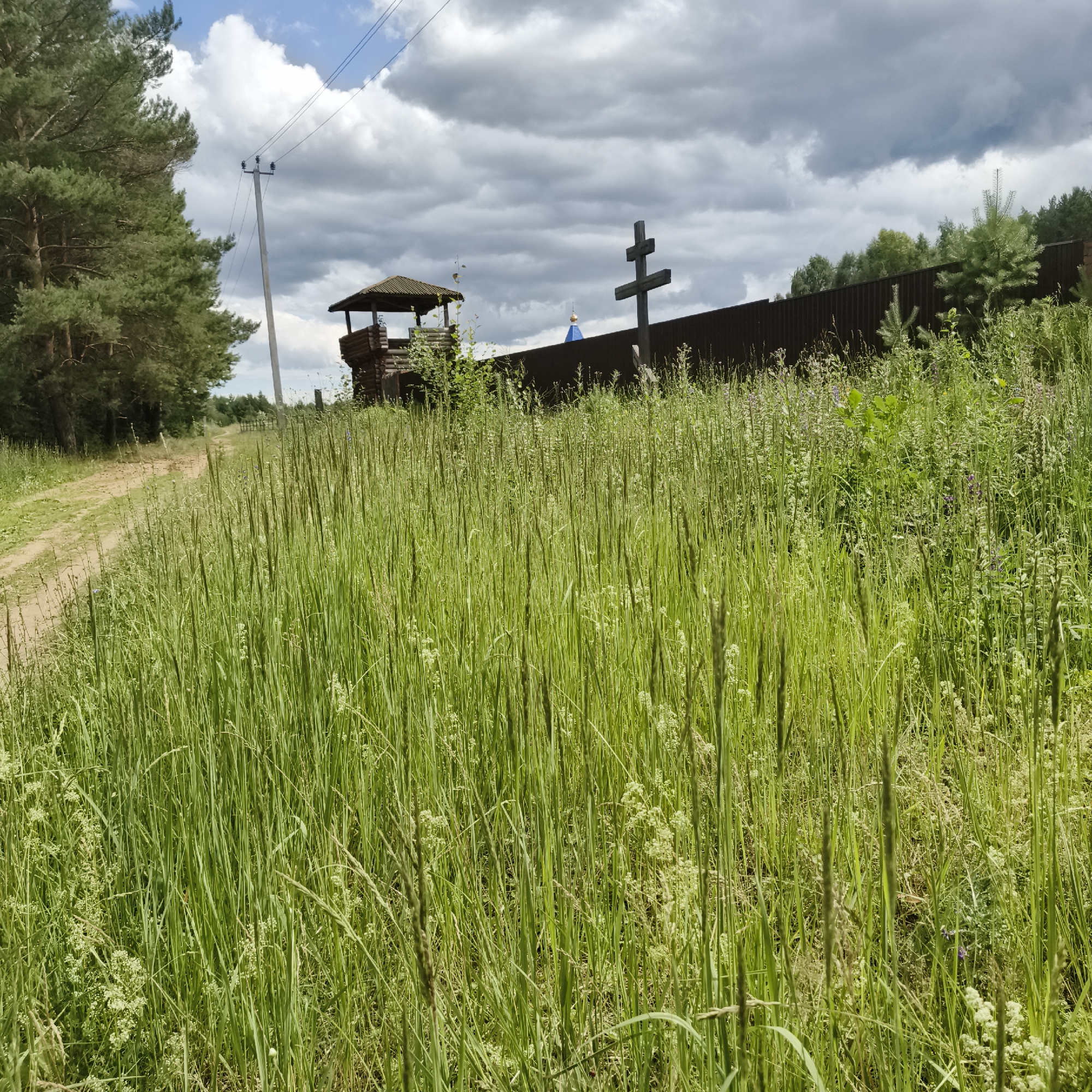 The image shows a rural scene with a path on the left, bordered by tall green grass in the foreground. In the middle ground, a wooden fence runs horizontally, behind which is a small wooden tower or gazebo. To the right of the tower, a large wooden orthodox cross stands prominently. A blue-domed structure is partially visible beyond the fence and behind the cross. Power lines and a utility pole are visible in the sky on the left side of the image. The background consists of trees and a cloudy sky. The scene appears to be located in the vicinity of Chaikovsky, Russia, likely a rural or park area. There are no people visible in the image.