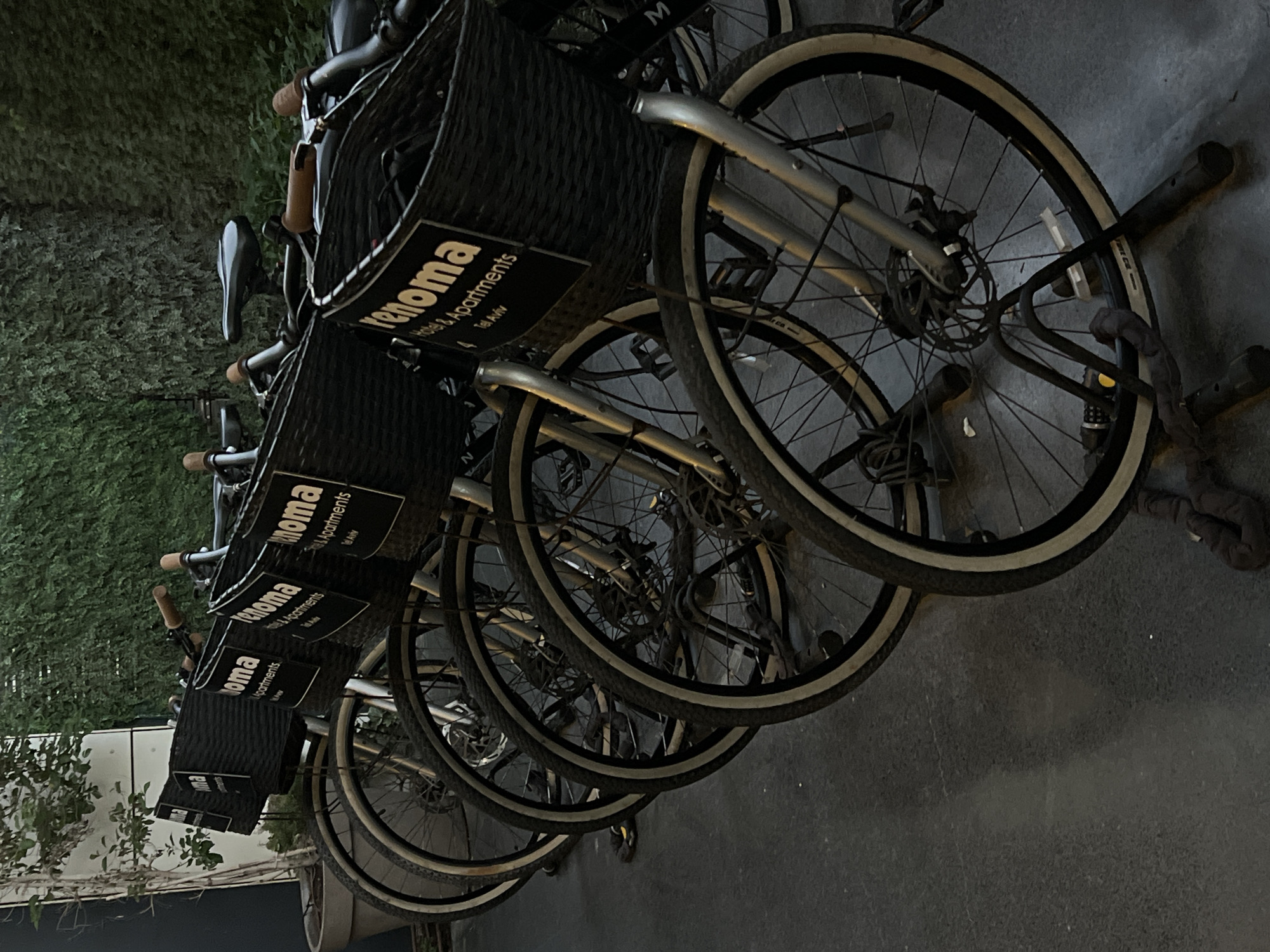 A row of parked bicycles with woven black baskets is positioned outdoors. Each basket has a black sign with white text that reads "renoma Hotel & Apartments Tel Aviv". The bicycles are arranged side-by-side, and their front wheels are facing forward. The scene is set against a backdrop of lush green foliage, likely a hedge or ivy-covered wall, and a large potted plant to the left. The ground appears to be paved with a dark material. The lighting suggests it may be dusk or early morning. There are no people visible in the image.