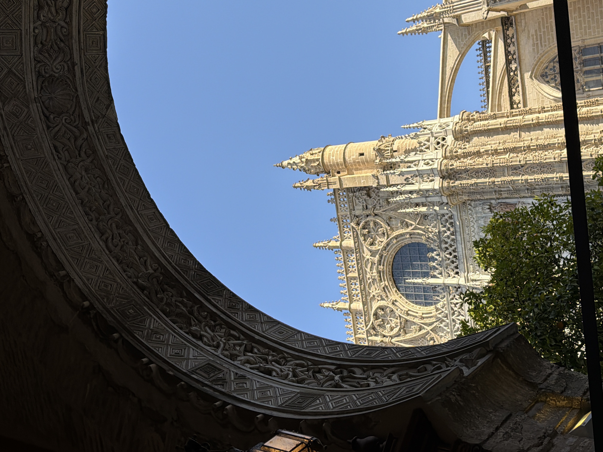 The image captures a close-up view of intricate architectural details of a grand Gothic cathedral, likely the Seville Cathedral in Spain, given the location context. The foreground is dominated by a dark, curved stone structure with elaborate carvings. These carvings feature geometric patterns, possibly diamond shapes, interspersed with floral motifs and swirling organic designs. This ornate frieze forms an arch-like shape, framing a view of the cathedral's exterior against a clear blue sky.
The main subject of the image is the cathedral's facade, bathed in sunlight. It is characterized by complex stonework, including pointed arches, spires, and a large, circular rose window. The architecture suggests a late Gothic or Renaissance style, with a profusion of decorative elements. The stone appears to be a light-colored sandstone or limestone, highlighting the intricate details of the carvings and buttresses. A lush green tree partially obscures the right side of the cathedral, adding a touch of nature to the scene. The presence of the tree suggests an outdoor setting, possibly a courtyard or garden adjacent to the cathedral.
The lighting indicates it is daytime, with the sun casting strong shadows and illuminating the textured surfaces of the stonework. The clear blue sky suggests fair weather. There are no people or specific activities depicted; the focus is entirely on the architectural grandeur and the artistry of the stonemasons. The overall impression is one of awe and admiration for the historical and artistic significance of the building. No visible text is present in the image.