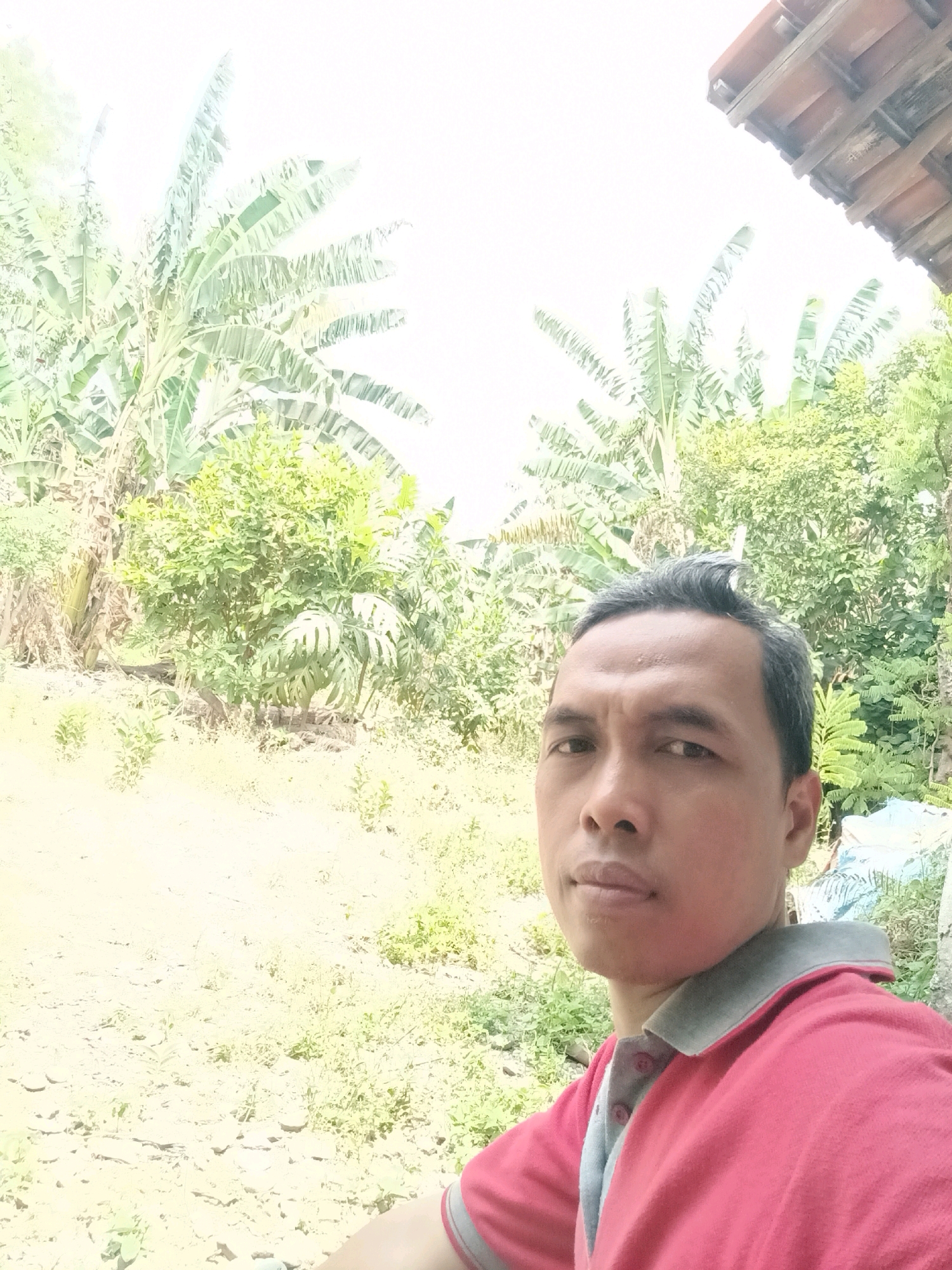 A man in a red collared shirt is taking a selfie outdoors. He has dark hair and light brown skin. Behind him, there are lush green trees and banana plants, indicating a tropical or sub-tropical environment. A portion of a terracotta tiled roof is visible in the upper right corner of the image. The ground appears to be dirt and sparse vegetation. The scene is likely a residential area in Tembok Luwung, Indonesia, given the presence of a house and the tropical flora.