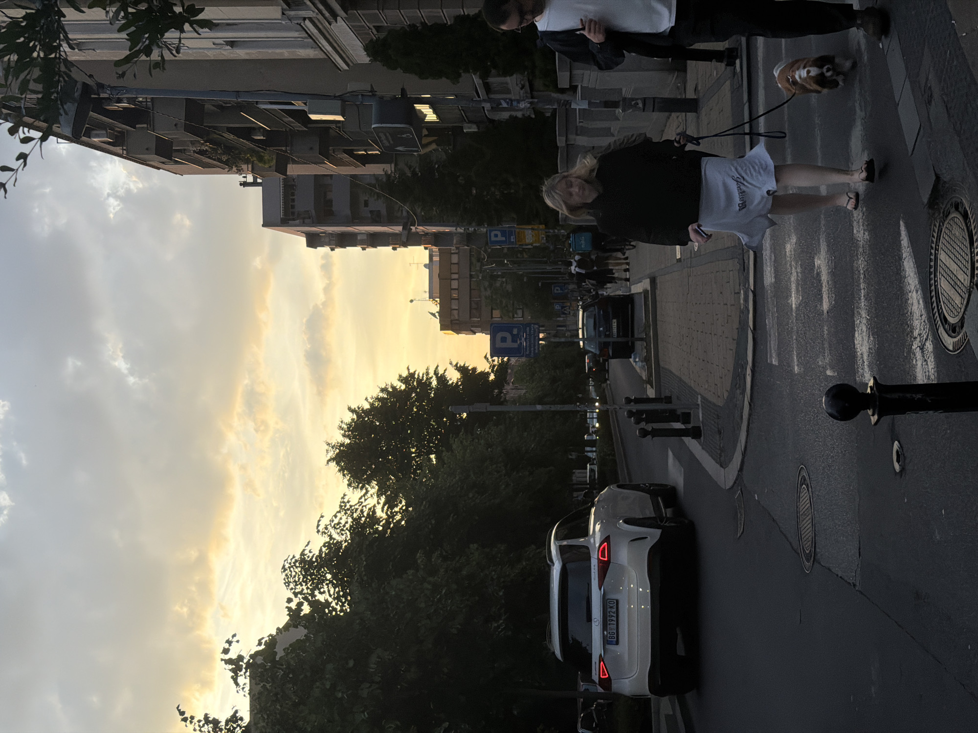 The image shows a street scene in the Vracar Urban Municipality, Serbia, taken at dusk. Buildings line both sides of the street. A woman is walking a dog on a leash across a crosswalk. Another person is walking behind her. A white car is parked on the street. Traffic signs are visible along the street. The sky shows a sunset.