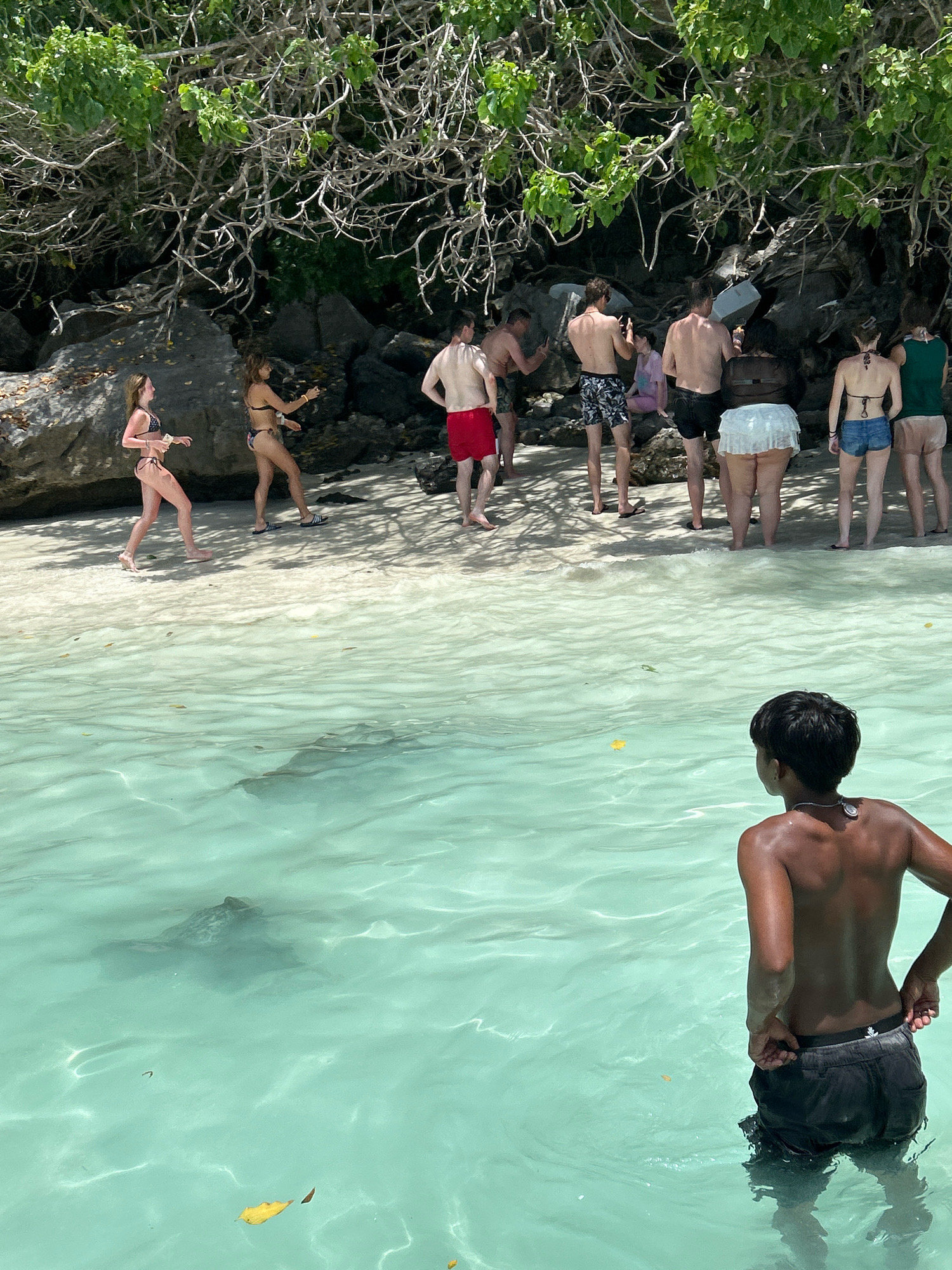 In Ton Sai, Thailand, a group of approximately ten people are gathered on a sandy beach and wading in the clear turquoise water. A young boy, facing away from the camera, stands in the water, wearing dark shorts. In the shallow water, a sea turtle is visible swimming. The beach is backed by a rocky cliff face covered in dense green foliage and tangled tree branches. A few large rocks are scattered on the sand. The people on the beach are dressed in swimwear, with some standing and others appearing to interact. The sun casts shadows on the sand, indicating it is daytime.