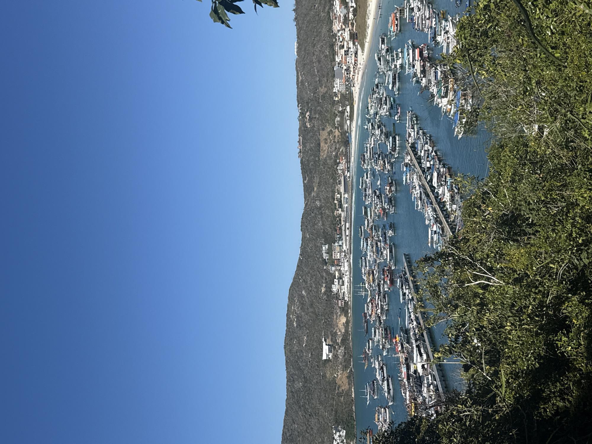 The image depicts a bustling harbor filled with numerous boats of varying sizes, predominantly moored in calm blue waters. The harbor is situated in the city of Arraial do Cabo, Brazil, nestled against a backdrop of a verdant, hilly coastline. A sandy beach, populated with scattered individuals, stretches along the bay, bordered by a dense cluster of white and red-tiled buildings that form the urban landscape. The sky above is a clear, vibrant blue, indicating fair weather. In the foreground, lush green foliage partially obscures the view, adding a natural element to the scene. The boats appear to be a mix of recreational vessels and smaller passenger ferries, suggesting a popular tourist destination or a hub for local maritime activities. The overall impression is one of a lively coastal town with active sea traffic.