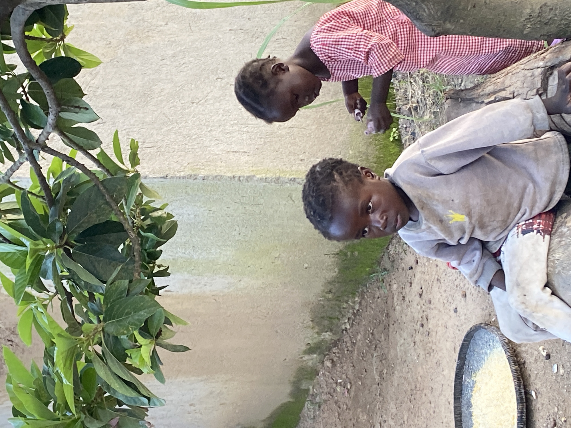 In Durumi, Nigeria, two young children are pictured in an outdoor setting. A young boy in the foreground, wearing a light grey long-sleeved shirt and light-colored pants, sits on a log. He has dark hair and is looking towards the left of the frame. To his right and slightly behind him, a young girl in a red and white checkered dress is standing. She is holding a small object and some green material in her hands, appearing to be engaged in an activity. In front of the boy, a round, shallow basket filled with a light yellow grain, possibly rice or millet, is visible on the ground. The background consists of a textured, light-colored wall with some green moss or vegetation at its base, and a tree with lush green leaves is casting shadows over the scene. The ground is composed of dirt and small stones.