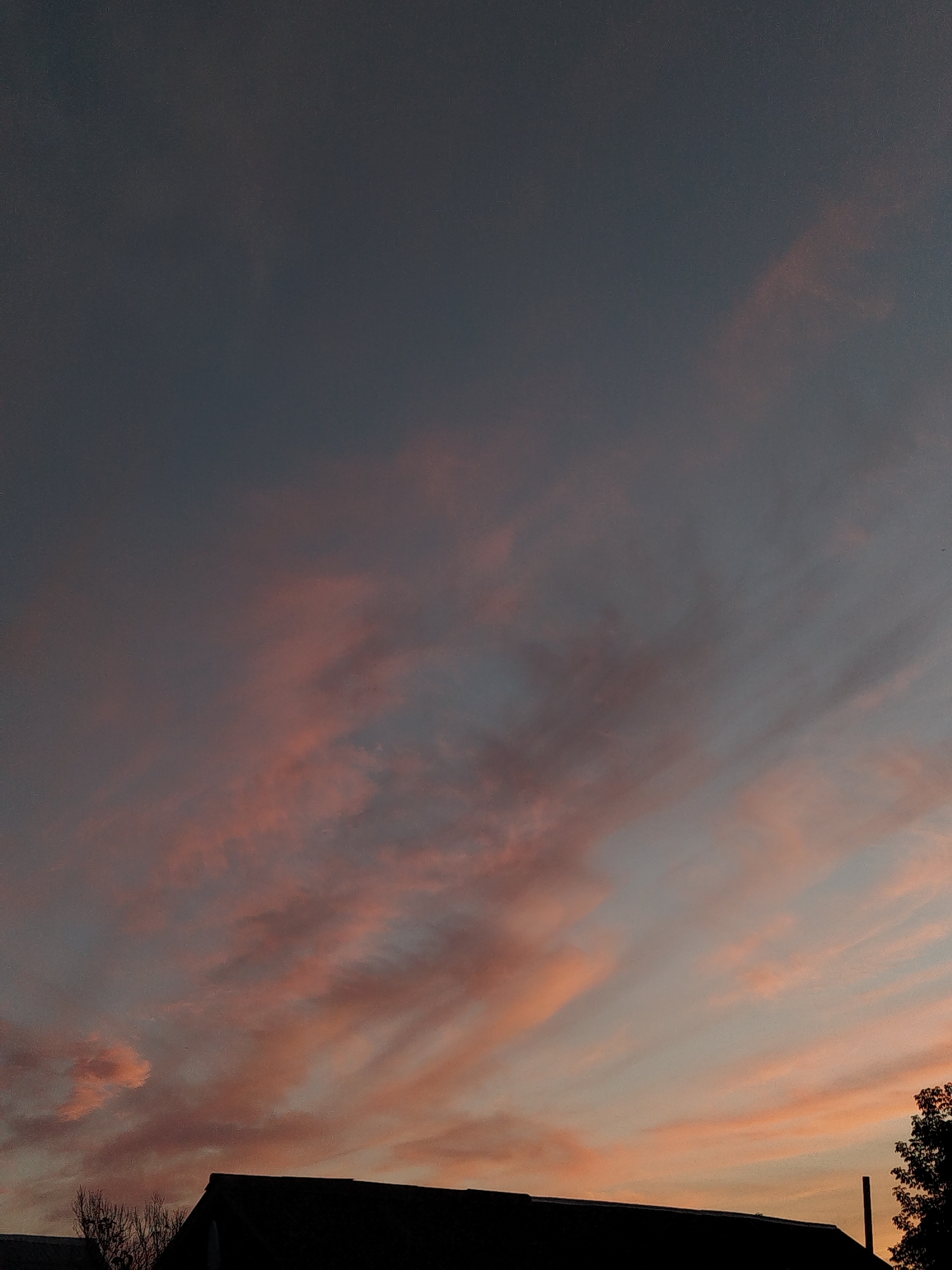 The image depicts a twilight sky with wispy, pink-tinged clouds against a darkening blue expanse. The lower portion of the image is dominated by the silhouette of rooftops, with a hint of tree branches visible on the left and a single tree on the right. The overall scene suggests a quiet evening in an urban or suburban setting.