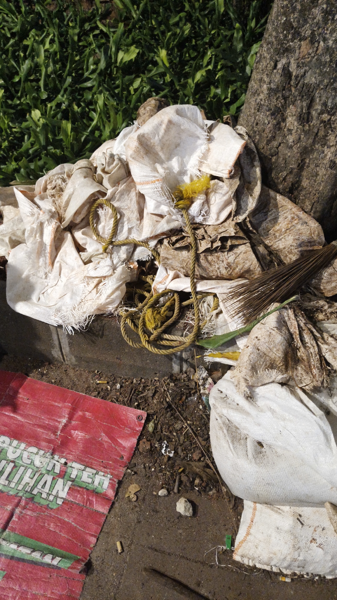The image captures a pile of discarded items against a backdrop of green grass and a large tree trunk. In the foreground, a torn red tarp with green and white lettering lies on the ground. Above it, several white sacks are piled haphazardly, some appearing torn and dirty. A yellow rope is entwined within the sacks. A small broom made of dried palm fronds is also visible amongst the debris. The ground is a mixture of dirt, small stones, and scattered debris. The scene suggests an area of the city where waste is accumulated, potentially a public space in South Jakarta, Indonesia, that has not been recently cleaned.