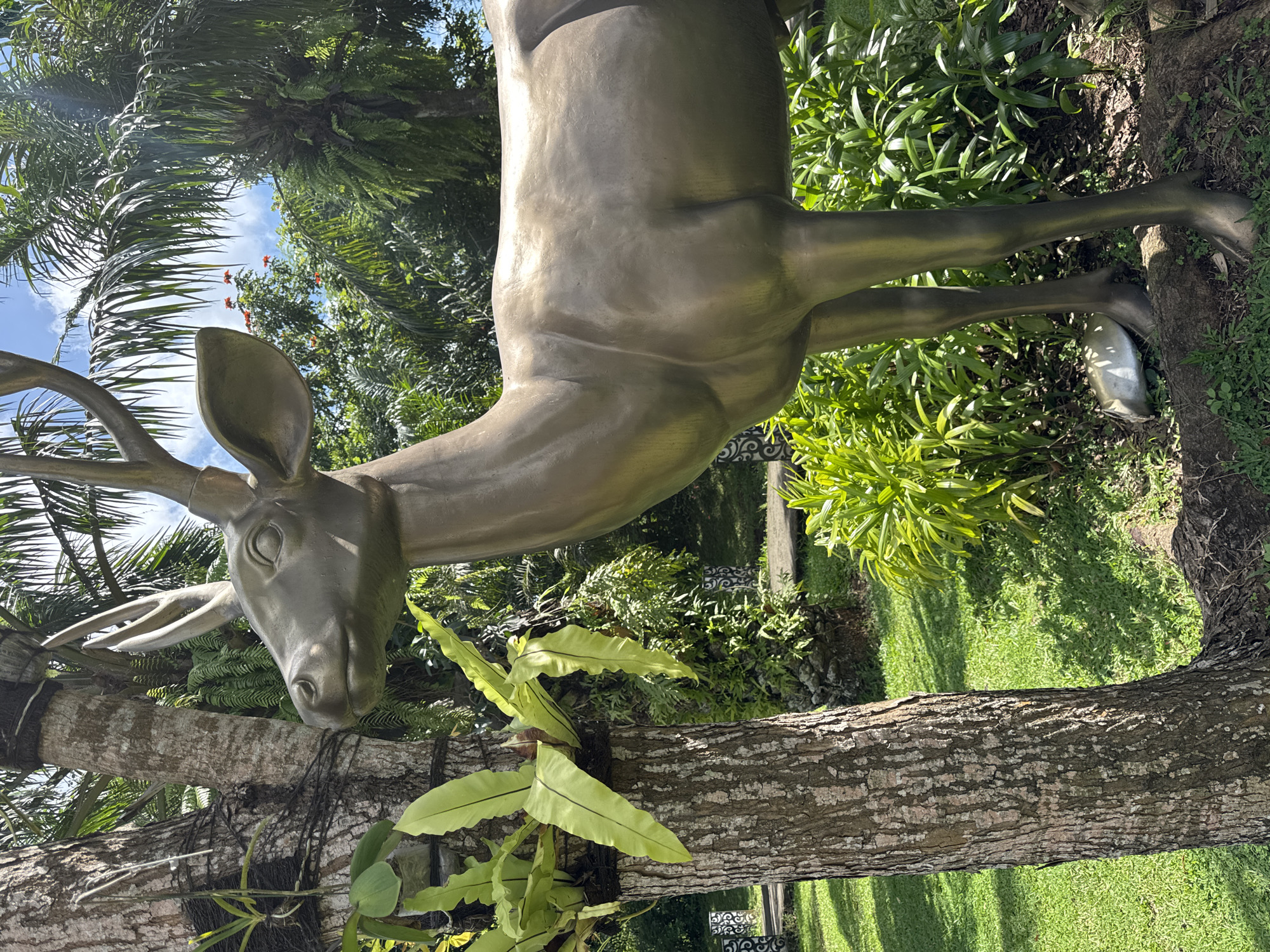 The image shows a bronze deer statue leaning against a tree in a lush, green garden setting. The tree is light brown with textured bark, and ferns are growing on its trunk. The deer statue has antlers and is in a standing position with its head lowered. In the background, there are various plants and trees, suggesting a well-maintained garden. The location is Unknown, Unknown.