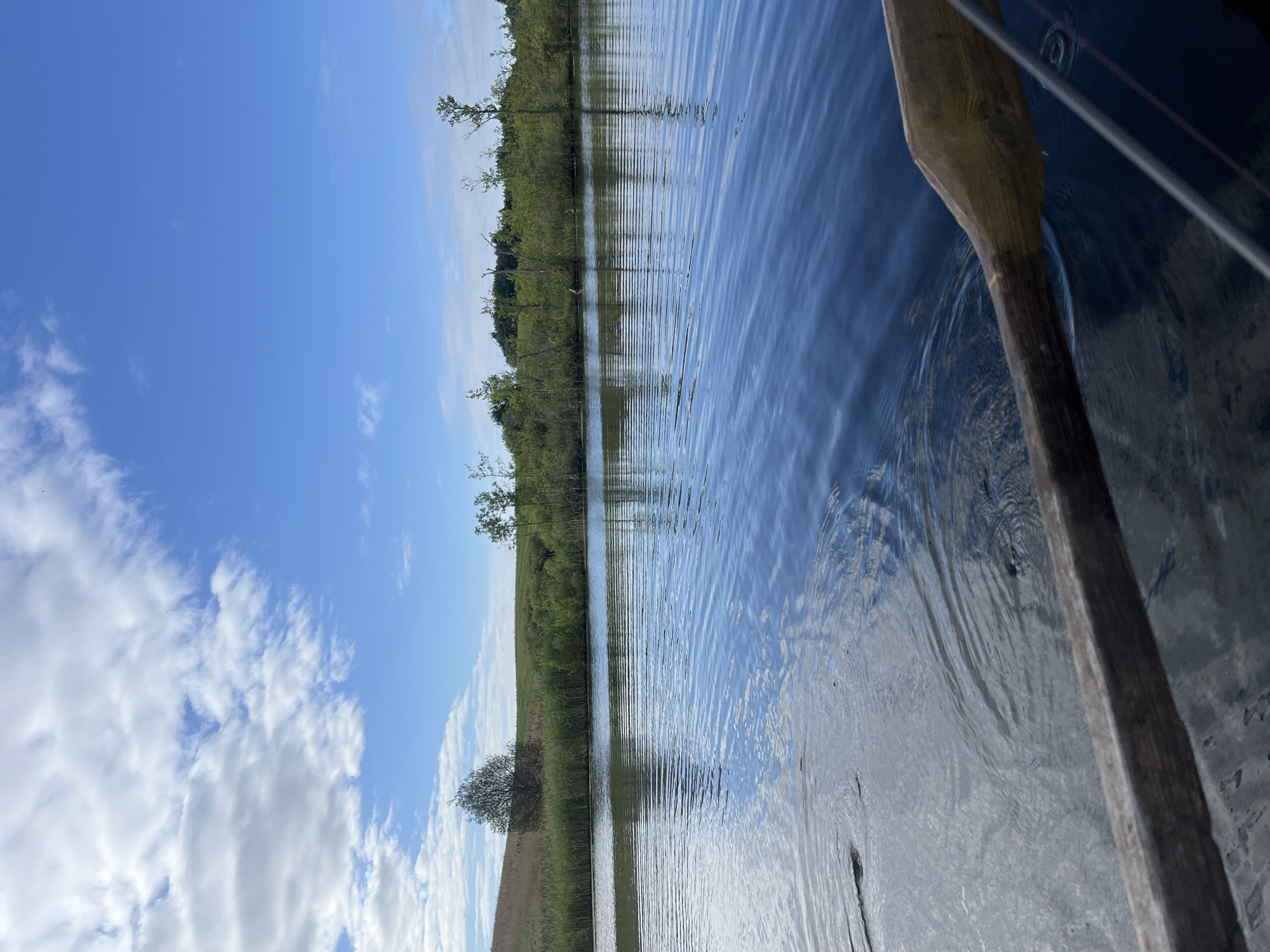 The image depicts a serene natural landscape, likely a body of water within or near the Дунілавіцкі сельскі Савет, Belarus, on a clear day. In the foreground, a wooden oar is visible, partially submerged in dark blue water that is rippled by a gentle breeze. The oar suggests the presence of a boat or raft, though these are not fully captured in the frame. The water reflects the sky and the surrounding greenery, creating a dappled effect.
The middle ground is occupied by the water's surface, stretching towards a lush, green shoreline. Reeds and tall grasses line the edge of the water, transitioning into a gentle, grassy hill in the background. Several scattered trees and denser clusters of foliage dot the landscape. The sky above is a vibrant blue, with scattered white clouds adding texture and depth. The overall impression is one of tranquility and natural beauty. There are no people visible in the image.