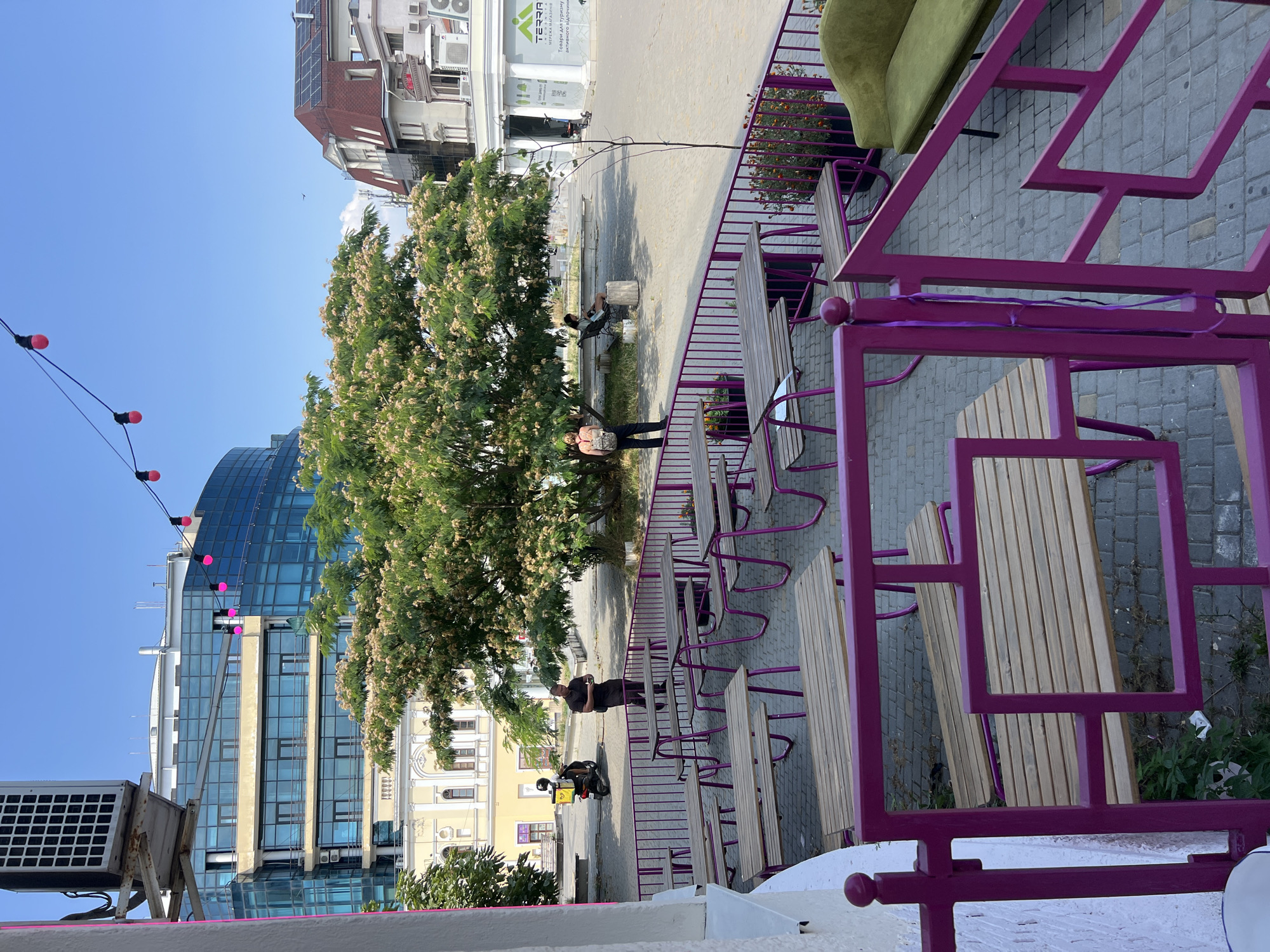The image depicts an outdoor seating area with several wooden picnic tables and benches, all supported by vibrant magenta metal frames. In the background, a large tree with feathery foliage and light-colored blooms dominates the scene. Beyond the tree, a modern building with a glass facade stands next to older, traditional architecture. The seating area appears to be part of a cafe or restaurant, possibly located in a public square in Odesa, Ukraine, given the style of the buildings and the presence of what looks like a scooter with a delivery box, suggesting a commercial district.
Several individuals are present: a man in dark clothing stands near a parked scooter, appearing to be checking his phone. Further into the scene, a woman with a backpack stands facing the tree, and another person is seated on a bench under the tree. A few potted plants, one with orange flowers, add to the ambiance of the outdoor space. Decorative string lights with pink bulbs are visible above, suggesting the area is also set up for evening use. The ground is paved with interlocking stone tiles.