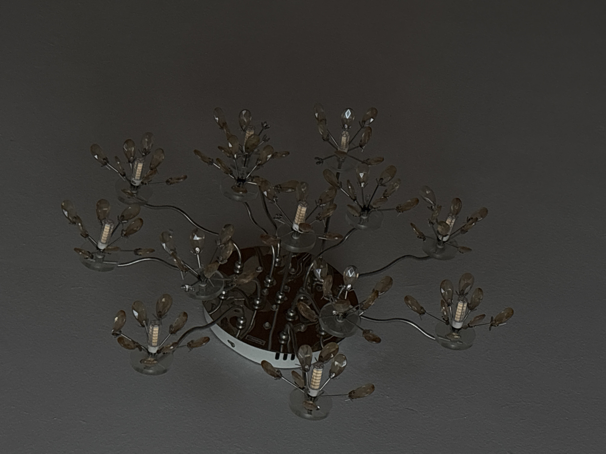 A chandelier with multiple arms and crystal-like accents hangs from a ceiling. The chandelier has a central body with many thin, curved arms extending outwards. Each arm terminates in a small light fixture, surrounded by teardrop-shaped translucent embellishments. The ceiling appears to be textured and is dimly lit, suggesting the chandelier's lights are either off or very low. There is no information available about the specific location of this chandelier in Saint Petersburg, Russia. The image captures only the fixture against a neutral background.