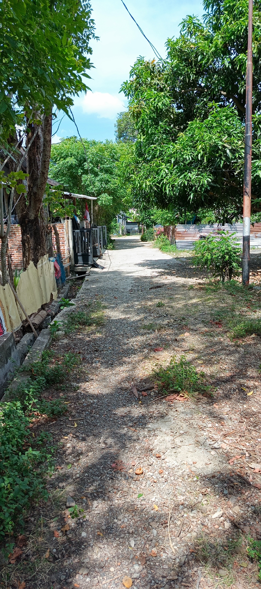 The image depicts a narrow, unpaved road in Pashiebeutong, Indonesia, likely a rural or semi-rural residential area. The road is covered with gravel and dirt, with patches of sparse vegetation and fallen leaves. On the left side of the road, a low wall made of concrete and brick runs alongside, with a narrow drainage ditch in front of it. A house with a red brick exterior and a wooden porch is visible behind the wall. Clothes are hanging on a line on the porch. Mature trees with dense green foliage line both sides of the road, creating a shaded canopy in some areas. On the right side of the road, a utility pole stands tall, and corrugated metal fencing is visible. The sky is a clear blue with a few scattered white clouds. The overall impression is one of a quiet, sunny day in a residential area.