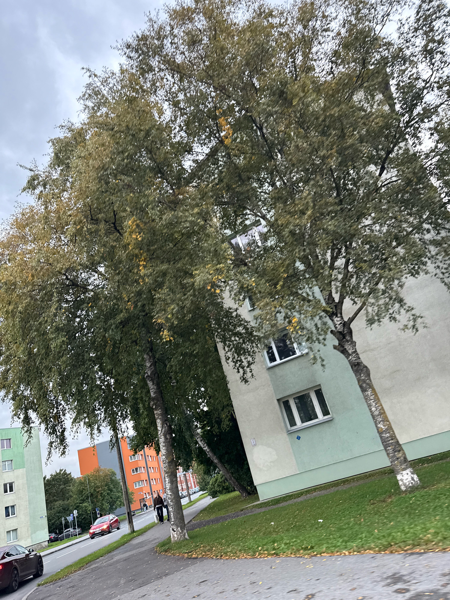 The image depicts an outdoor scene in Tallinn, Estonia, focusing on an apartment building and its surroundings. A multi-story apartment building, with sections painted in light green and off-white, is visible on the right. Several trees with green and yellowish leaves are in the foreground and partially obscure the building. A paved sidewalk runs alongside a grassy area and the street. On the street, there are cars, including a red car and a dark-colored sports car, as well as two pedestrians walking on the sidewalk. In the background, other apartment buildings of various colors, including green and orange, are visible. The sky is overcast.