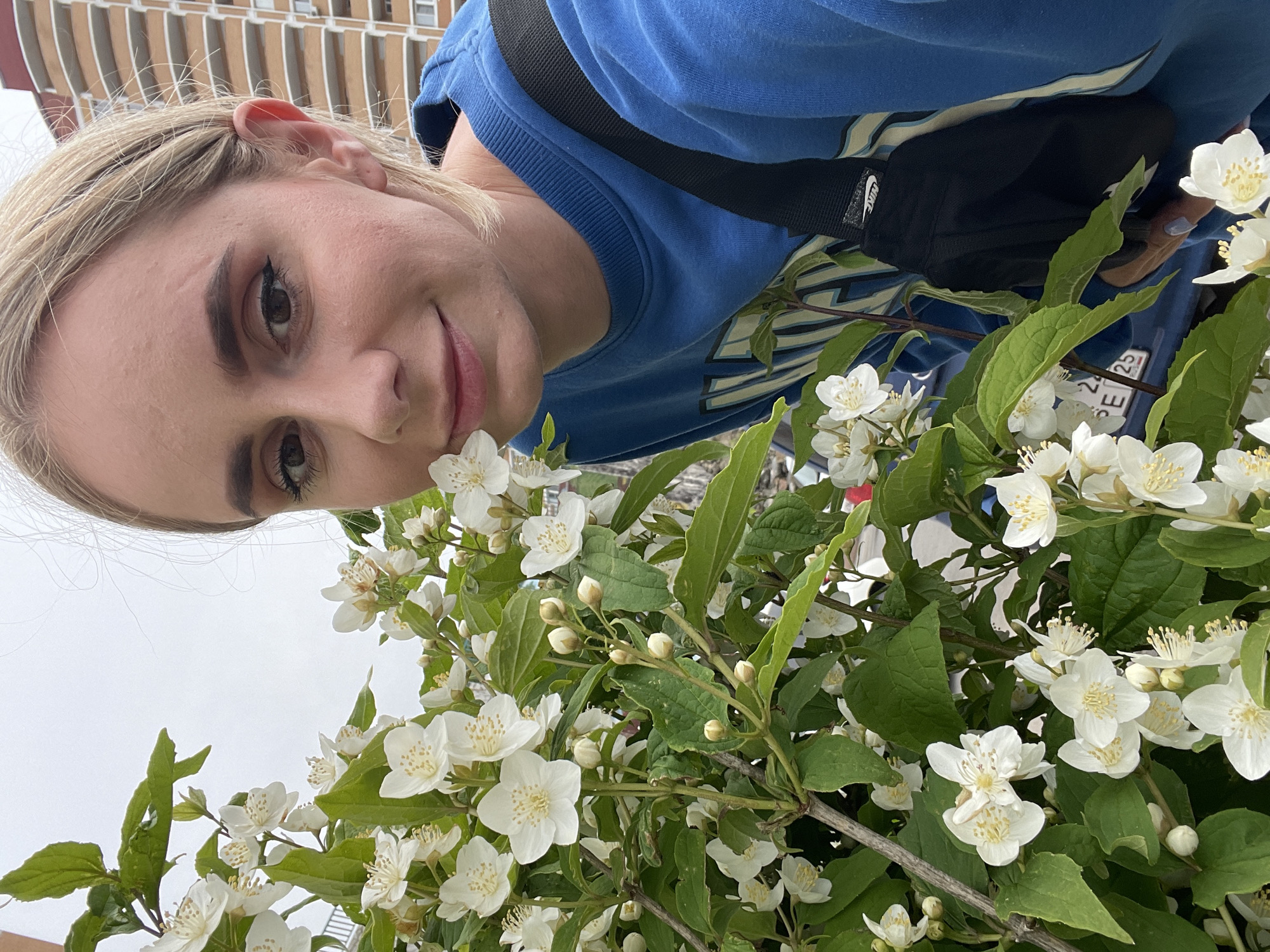 A young woman poses close to a flowering shrub. The shrub is covered in small white flowers and green leaves. The woman has fair skin, blonde hair, and is wearing a blue sweatshirt. A black bag with the Nike logo is slung across her shoulder. The background includes a building. The license plate of the car is visible showing the digits SE 25 and probably the city of Vladivostok, Russia.
