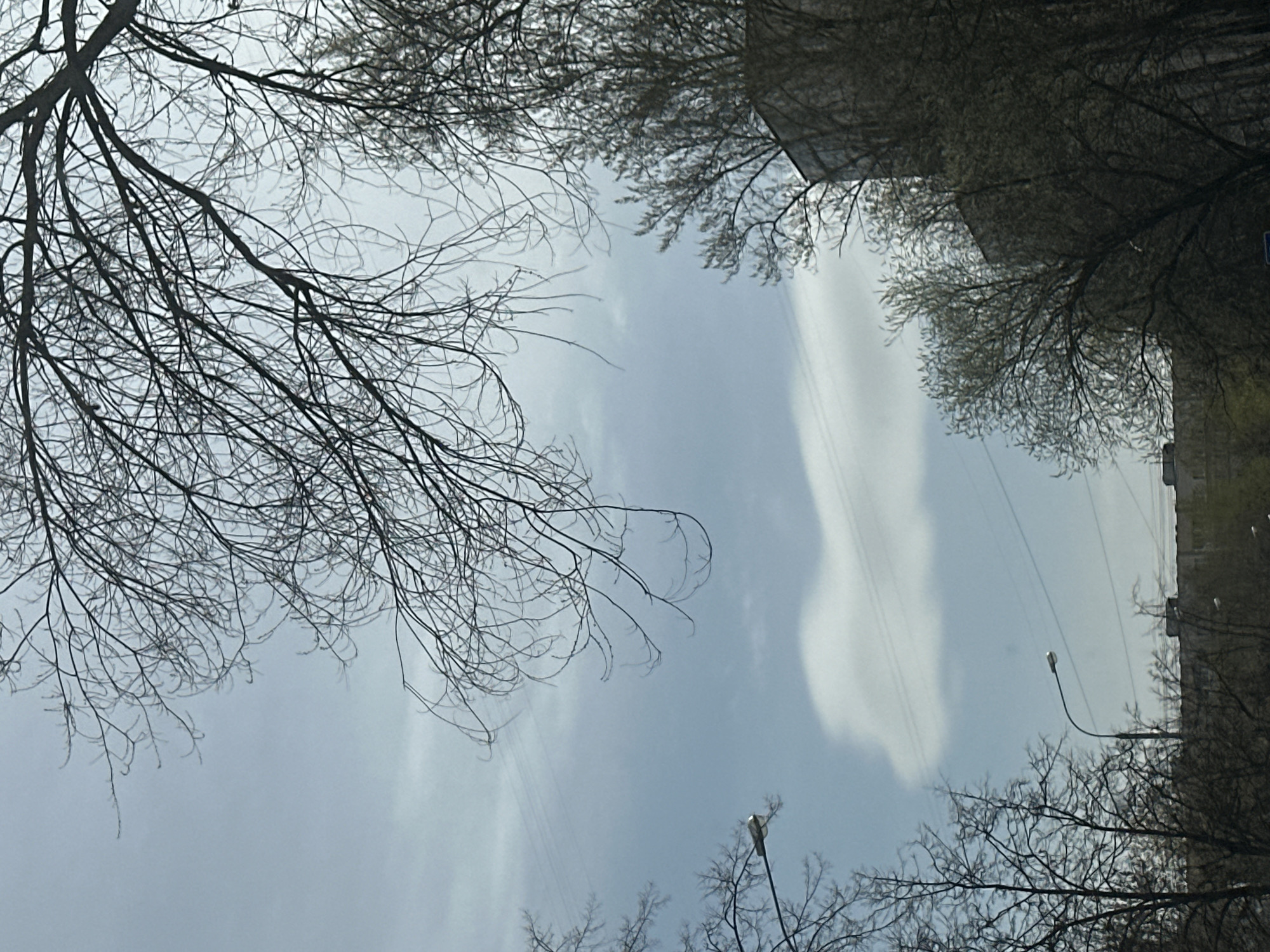 An upward-looking photograph captures a cloudy daytime sky framed by bare tree branches and urban structures in Moscow, Russia. The central area of the image is dominated by a light blue to greyish-blue sky, featuring elongated white clouds. Intricate, dark, and bare branches of deciduous trees frame the sky from the upper-left, lower-left, and lower-right, suggesting a late autumn, winter, or early spring season. Partially obscured by the foliage on the right side, sections of dark, multi-story buildings are visible. In the lower-right portion of the frame, a dark, curved streetlight pole with its luminaire extends into the sky. Additionally, several thin, dark wires traverse the upper-left sky. There is no discernible activity or visible text within the image.