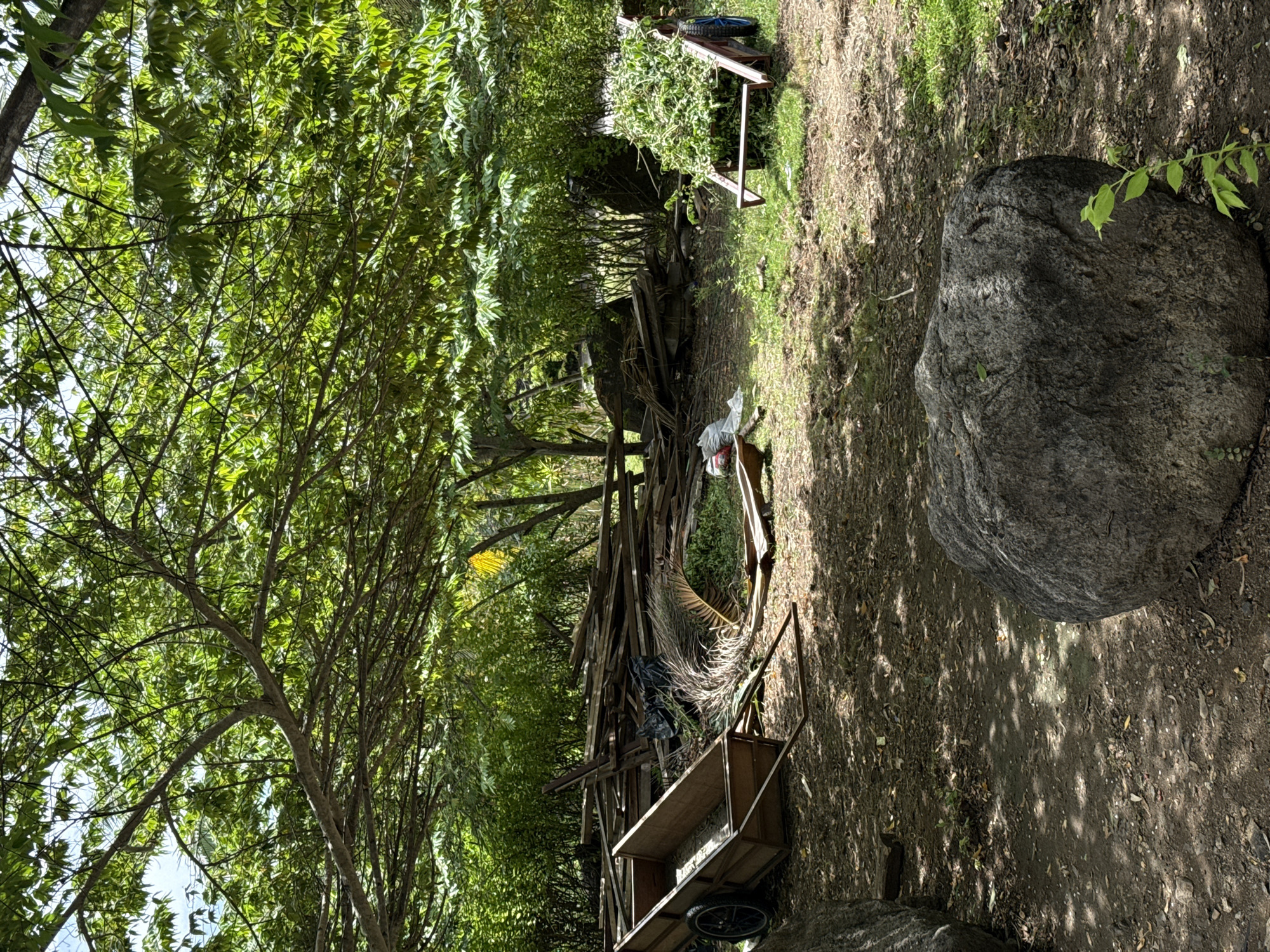 The scene is an outdoor setting, possibly in a rural area of Unknown, Indonesia. Lush green foliage dominates the left side of the image, indicating dense vegetation. In the center, there's a haphazard collection of wooden planks and other debris, including what appears to be a discarded palm frond. A small, wheeled cart sits nearby. To the right, a large gray rock rests on the ground, partially shaded. The ground is covered in dirt and scattered leaves, with dappled sunlight filtering through the trees. The angle of the image appears to be shot sideways, with the original orientation being a vertical shot.