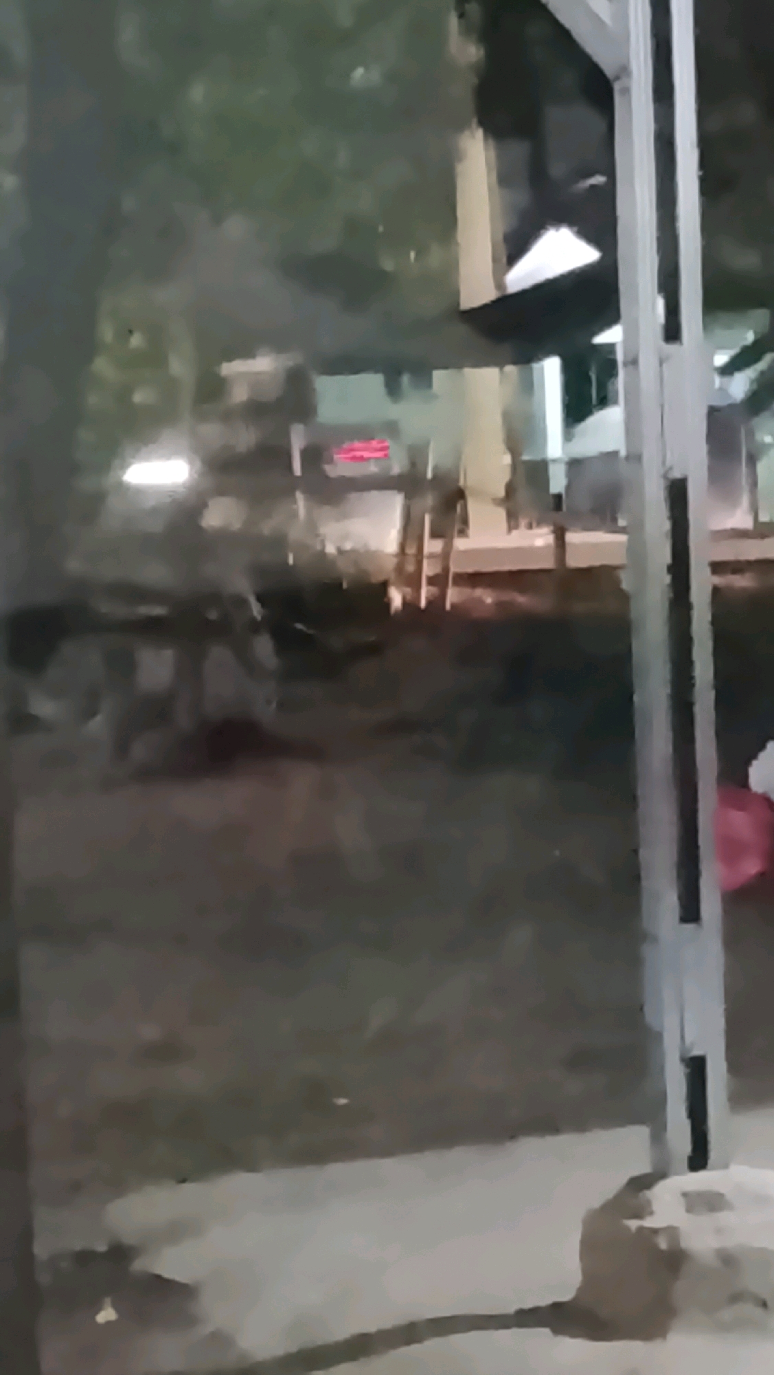 The image depicts an outdoor scene at night, possibly in a street or courtyard area. A tall, metal pole with dark rectangular sections runs vertically along the right side of the frame. In the background, there are illuminated structures, likely buildings, with some appearing to have red signage. Trees with foliage are visible, suggesting a somewhat natural environment within the urban setting. Reflections on a surface, possibly a window or glass, obscure some of the details, creating a blurred effect. There are hints of objects on the ground, including what might be a person or a large object covered with a pink material. A tan-colored object with a long tail is partially visible in the lower right corner, appearing to be an animal, potentially a cat or a rat. The ground surface appears to be paved or concrete. The overall impression is of a dimly lit, somewhat hazy nighttime environment in a public or semi-public outdoor space. There is no specific indication of the city of Ujungrusi, Indonesia.