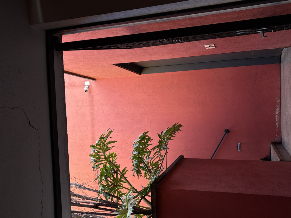 A view through a doorway reveals a courtyard with a vibrant red wall. A security camera is mounted high on the left wall. A black pipe runs diagonally across the wall, ending near a small, rectangular fixture. A plant with large, lobed leaves stands in the foreground. The ceiling has a recessed section with a dark gray underside. The doorway frame is black, and the outer wall is a muted gray with a visible crack.