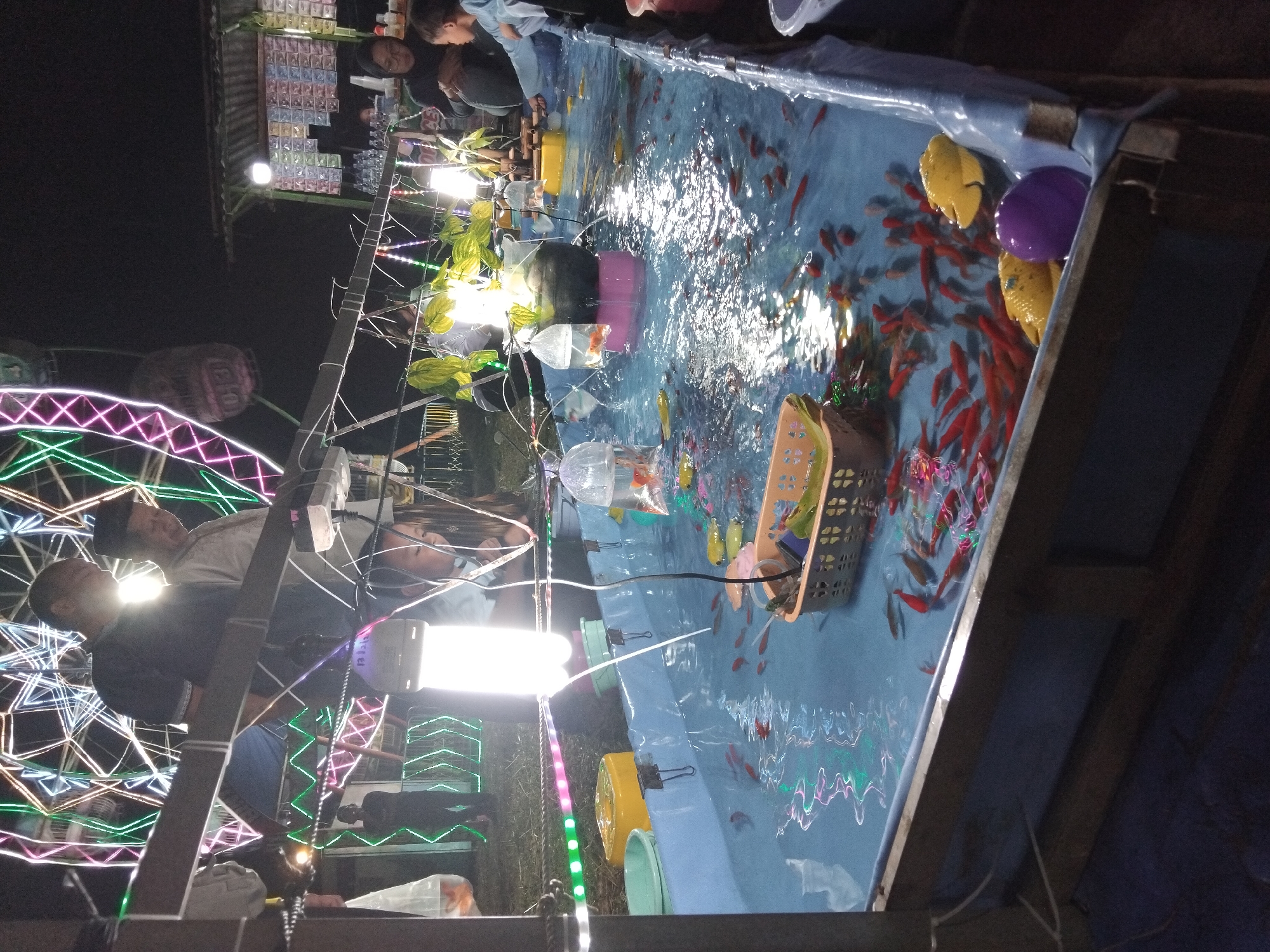 The image captures a nighttime scene at an outdoor carnival, likely in Sambirata, Indonesia. In the foreground, a large, rectangular pool filled with water is teeming with numerous small, red and gold fish. These fish are swimming in the water, with some near the surface and others deeper. Several yellow plastic toys, one shaped like a fish and another like an egg, rest on the edge of the pool. A brown, woven basket containing some objects is partially submerged in the water. Various plastic bags, some containing fish, are also visible in and around the pool. The pool itself is set within a wooden frame, with a blue tarp lining its sides.
Behind the pool, a walkway is lined with colorful lights, including green, pink, and white strands, which also illuminate the surrounding area. Several people are visible in the background. To the left, a large Ferris wheel with intricate, glowing geometric patterns of lights dominates the night sky. A food stall with a corrugated metal roof is situated to the right, displaying rows of items behind a counter. People can be seen interacting at the stall and near the pool, with some appearing to be observing the fish. The overall atmosphere suggests a lively, festive evening at a local fair.