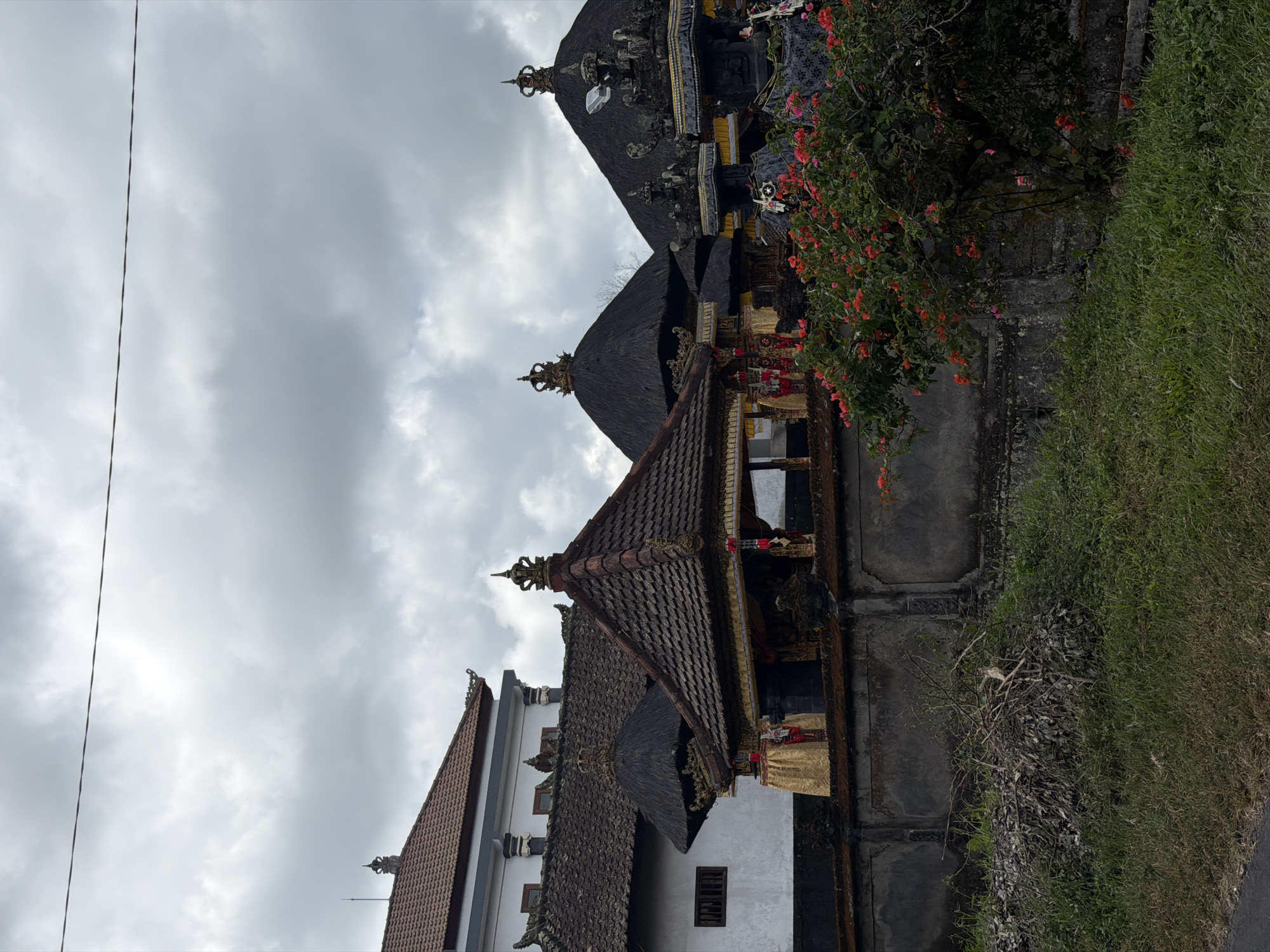 A wide, outdoor, eye-level shot captures a detailed view of a traditional Balinese temple complex, likely in Petang, Indonesia, under a cloudy, overcast sky. The foreground features a patch of dry twigs and leaves resting on a grassy slope, with a dark asphalt road visible at the bottom left. Behind this, a grey, stone wall with decorative indentations runs horizontally across the frame. Lush green grass covers the area in front of the wall.
Dominating the mid-ground are several intricately designed temple structures. The closest temple features a multi-tiered roof covered in reddish-brown tiles, topped with a golden spire. Decorative gold trim and red fabric hang from its eaves, and figures, possibly statues or dancers, are visible behind draped golden fabric. To the left and slightly behind this, a white building with a dark, tiled roof is visible, featuring small, dark-paned windows. Further back, two prominent structures with conical, thatched roofs rise up, each adorned with a golden spire. Elaborate stone carvings and dark fabric with gold trim are integrated into these structures, with more draped golden fabric visible. A vibrant bush with numerous bright red flowers and green leaves stands to the right, partially obscuring the temple structures.
The background is filled with a uniformly grey, cloud-laden sky. A thin, dark electrical wire stretches horizontally across the upper portion of the image.