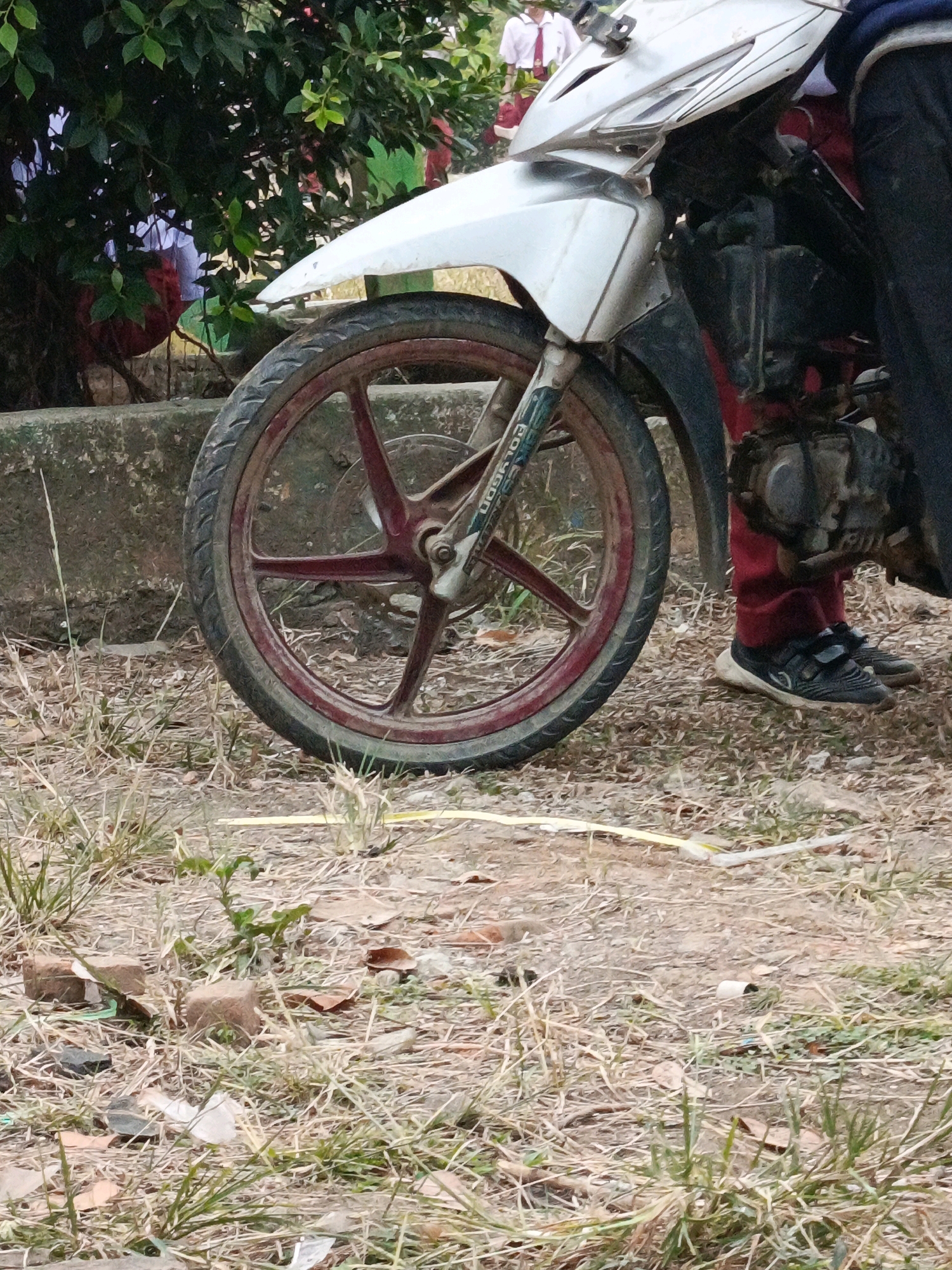 The image shows a close-up of a motorcycle's front wheel and part of its body, with a person's legs visible to the right. The motorcycle has a white and silver body, with a red rim on the spoked wheel. The tire appears worn. The ground is covered with dry grass, dirt, and some debris, including small brown bricks. In the background, a person wearing a white shirt and red tie is partially visible, along with lush green foliage. The overall scene suggests an outdoor setting, possibly in a park or a less-maintained area. The user request mentions "Megang Sakti II, Indonesia," but this location cannot be confirmed from the image itself.