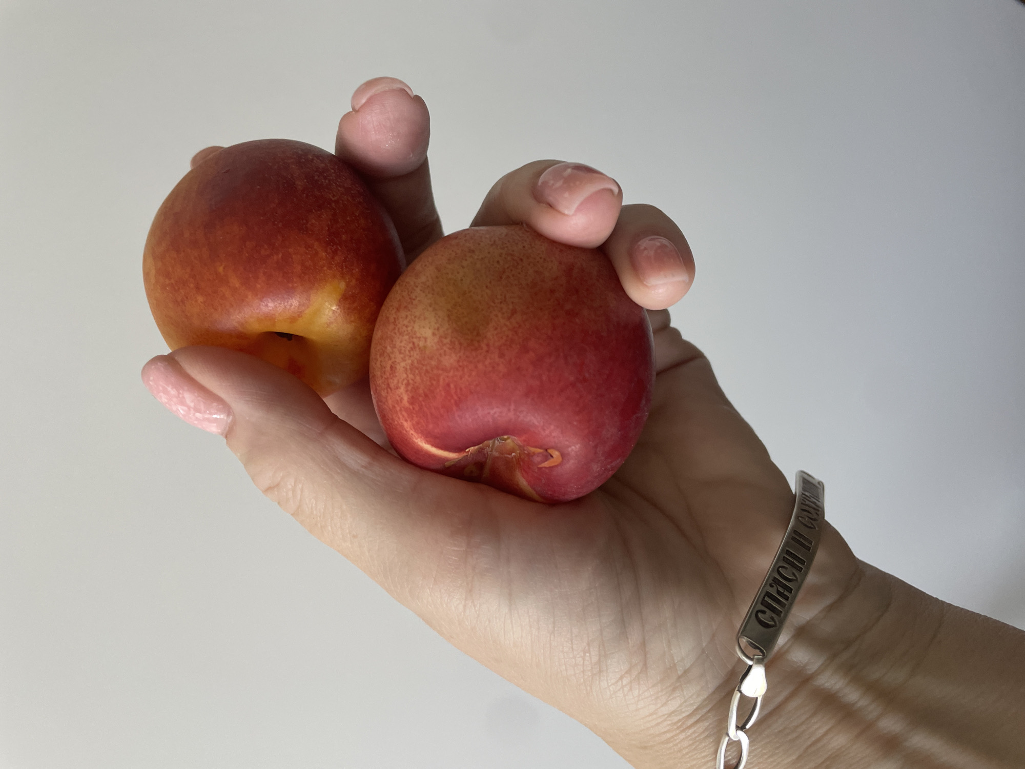 A close-up, over-the-shoulder shot shows a person's hand holding two nectarines against a plain, off-white background. The hand is positioned in the center of the frame, with the thumb and index finger supporting the bottom nectarine, and the middle and ring fingers supporting the top one. Both fruits are round and exhibit a gradient of color from red to yellow. The person's fingernails are painted with a light pink, iridescent polish. A silver bracelet with an inscription in Cyrillic letters, "СПАСИ И СОХРАНИ" (Save and Preserve), is visible on the wrist. The lighting is soft and diffused, casting subtle shadows. There is no indication of the city of Almaty, Kazakhstan.