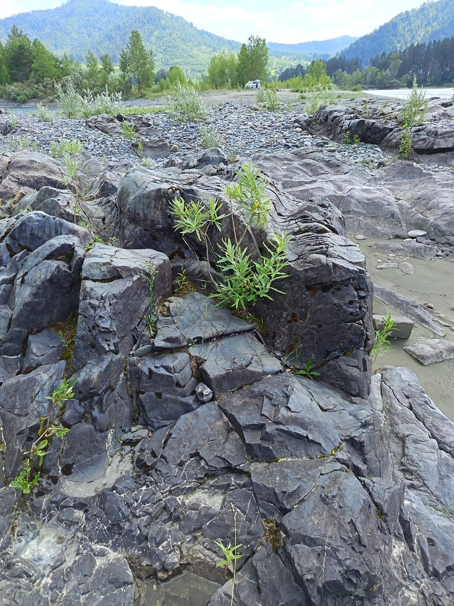 The image depicts a rocky riverbank in a mountainous, forested region. Large, dark gray rocks, fractured and layered, dominate the foreground. Small green plants sprout from crevices in the rocks. In the middle ground, a gravelly area leads to a body of water, likely a river, with a forested bank beyond. Mountains covered in dense green trees rise in the background under a partially cloudy sky. A white van is visible parked on a dirt track near the trees. The scene appears to be a natural landscape, possibly a park or a recreational area, in the vicinity of Nizhnekoyancha, Russia, given the geological and vegetative characteristics suggestive of Siberian wilderness.