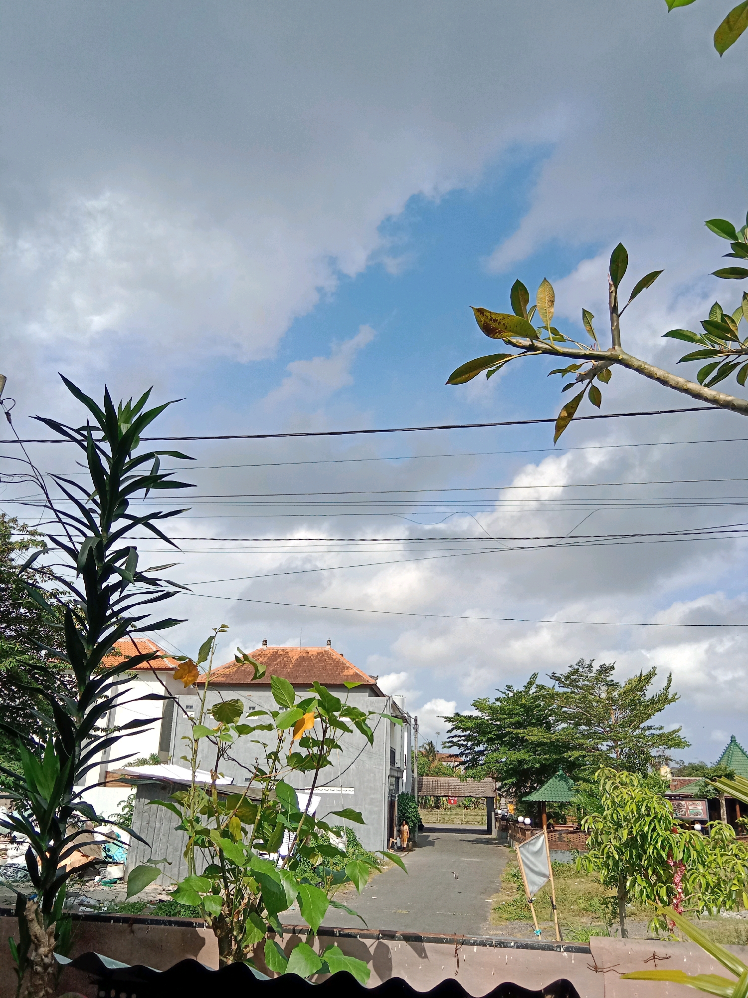 The image depicts a daytime scene in Mengwi, Indonesia, under a partly cloudy sky. In the foreground, a tall, spiky green plant stands to the left, partially obscuring a smaller plant with green leaves and a yellow flower to its right. Behind these plants, a two-story building with orange-tiled roofs is visible. Further back, a paved pathway leads towards an entrance with a traditional Balinese gateway. Trees and structures with green roofs are scattered throughout the middle ground and background. Several power lines are strung horizontally across the sky. No people are clearly visible. The overall impression is of a residential or commercial area with lush vegetation.