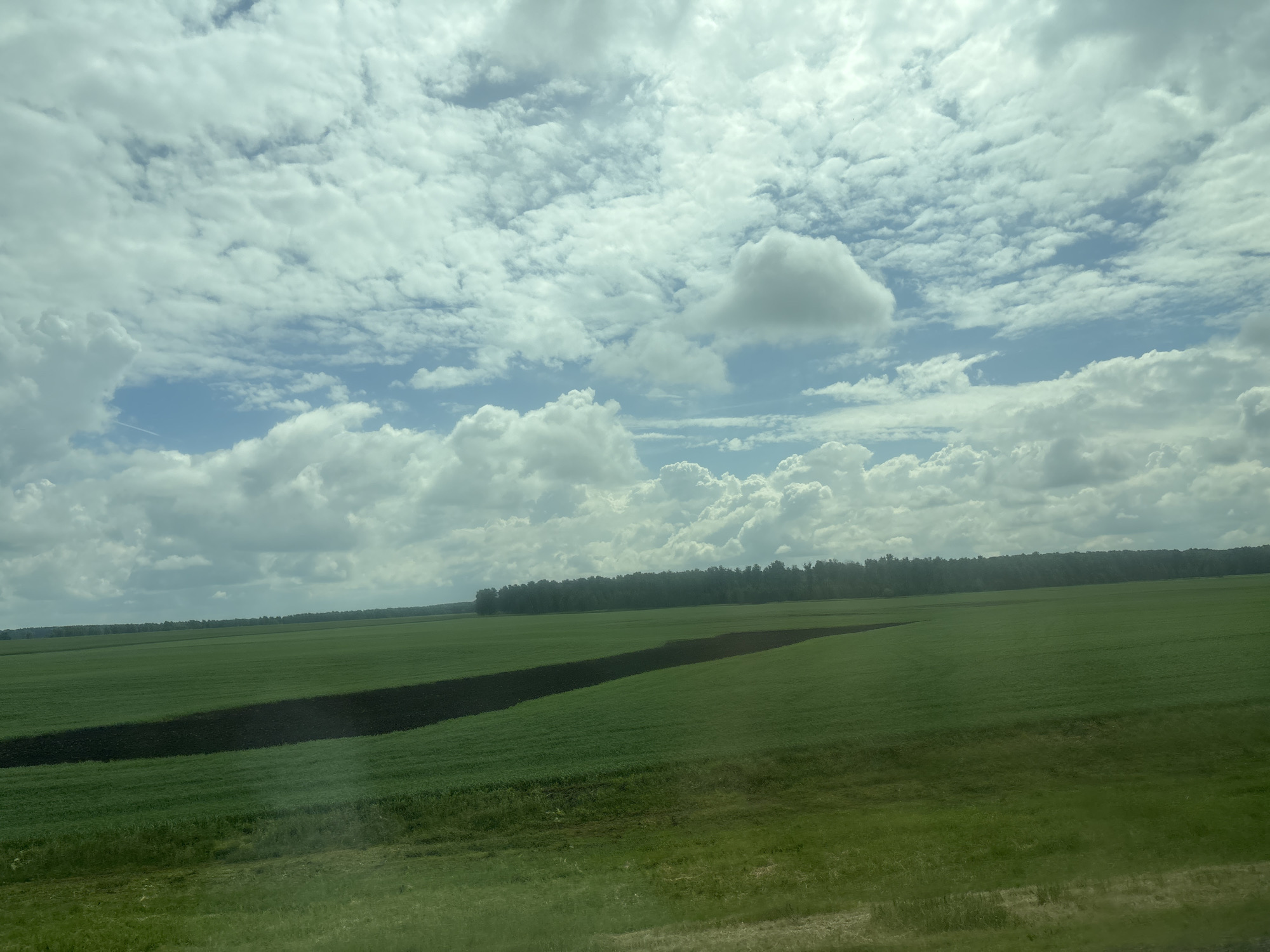 The image shows a wide, green agricultural field under a partly cloudy sky. A dark strip of tilled soil cuts diagonally across the field. In the distance, a dense line of trees forms the horizon. The foreground shows a grassy verge. The image appears to have been taken from a moving vehicle, likely a train or car, given the slight blur and the perspective. This scene is consistent with the rural landscape found in and around Лаяшты, Russia, which is characterized by vast farmlands and forested areas. There are no people or specific structures visible in the image that would indicate a precise location within the city itself.