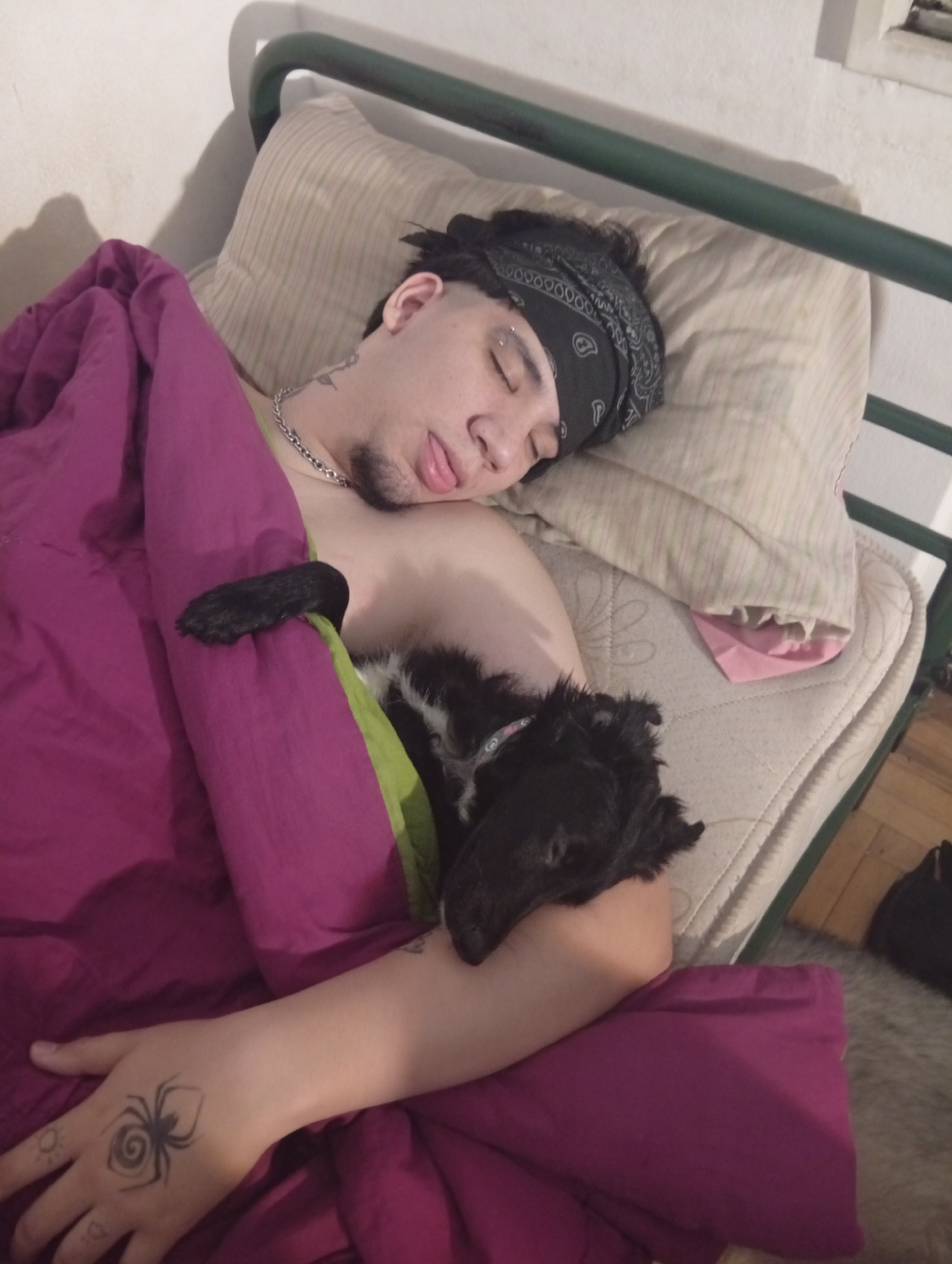 A person is asleep in bed, covered by a purple blanket with a small black and white dog curled up on their arm. The person has dark hair, is wearing a dark bandana, has an eyebrow piercing and a spider tattoo on their hand. The bed has a metal frame and a striped pillow. The location is likely in Buenos Aires, Argentina, but no details in the photo confirm it.