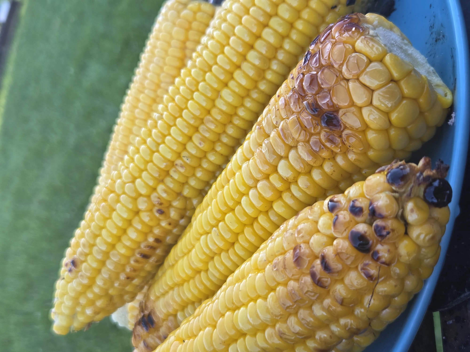 A close-up, eye-level shot shows three ears of grilled corn on a bright blue plate. The corn is a vibrant yellow with some kernels exhibiting char marks from the grilling process. The plate is positioned on a dark surface, possibly a table, with a blurred background of green grass, suggesting an outdoor setting. The location of Frolovo, Russia is not discernible from the image itself.