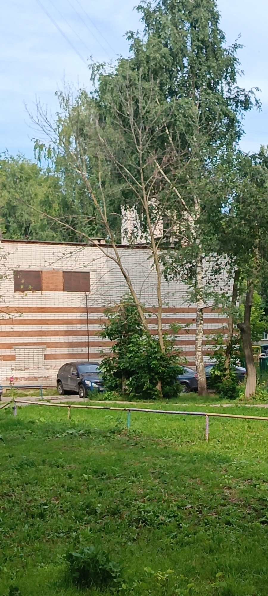 The image depicts an outdoor scene in a residential area, likely Cheboksary, Russia, characterized by a multi-story brick building with horizontal brown and white banding. Two dark-colored vehicles are parked near the building, partially obscured by lush green trees and bushes. A section of the building wall shows two rectangular, dark brown panels that appear to be windows or ventilation covers. In the foreground, a well-maintained lawn with scattered patches of clover and other low-lying greenery is visible. A low metal fence, painted blue and brown, runs horizontally across the lower portion of the image, separating the lawn from the parking area. The sky above is partly cloudy, with faint power lines visible against the lighter blue sky. The overall impression is of a typical urban courtyard setting during daylight hours, with no people or active events immediately apparent.