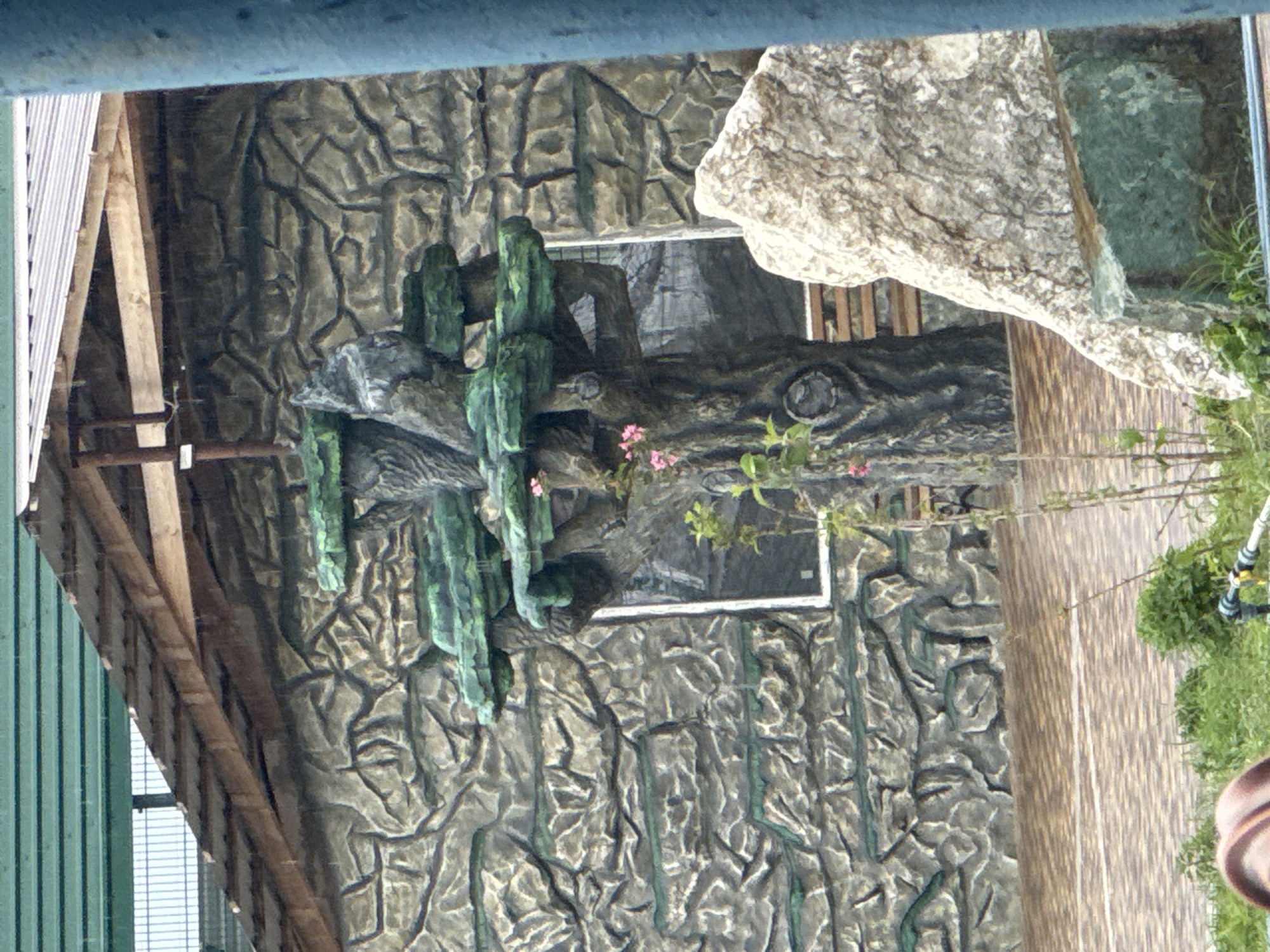 The image depicts an outdoor scene featuring a faux tree with green foliage, a textured stone wall in the background, and a large rock formation in the foreground. The faux tree is centrally located, with delicate pink flowers blooming on its branches. Behind the tree, the stone wall is intricately designed to mimic natural rock formations, with visible crevices and variations in texture. A wooden bench is partially visible behind the tree, suggesting a seating area. To the right of the tree and in front of the stone wall, a substantial rock formation dominates the lower right quadrant of the image. The ground in front of the wall is paved with a patterned surface, possibly brick or tile. The overall environment appears to be an artificial landscape, possibly part of a zoo, park, or themed attraction. The lighting suggests it is daytime, and the presence of rain streaks on the roof and in the air indicates ongoing precipitation. The presence of a blue cylindrical object on the far right edge of the frame may be a support column or part of an enclosure.