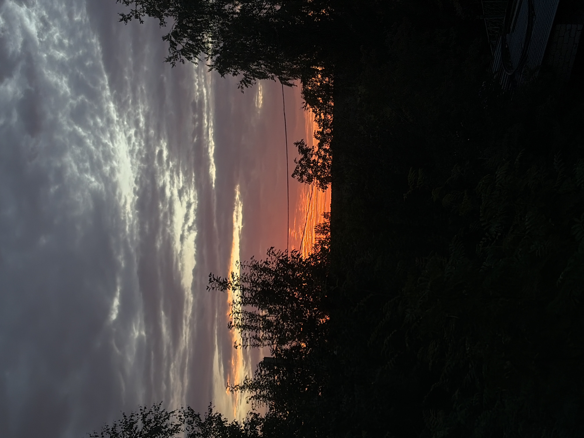 The image depicts a twilight sky over a silhouette of trees and foliage in the city of Leninsk-Kuznetskiy, Russia. The sky is filled with a dramatic display of clouds, ranging from dark gray at the top to vibrant hues of pink, orange, and yellow closer to the horizon, indicating sunset. Silhouetted against the colorful sky are the dark shapes of trees and bushes, with some appearing taller and more prominent than others. A thin, dark line, likely a power line, is visible horizontally across the middle of the frame. In the lower right corner, a portion of a building with a corrugated roof is partially visible, suggesting a residential or industrial area. The overall scene conveys a somber and naturalistic atmosphere, characteristic of a rural or semi-urban environment at dusk.