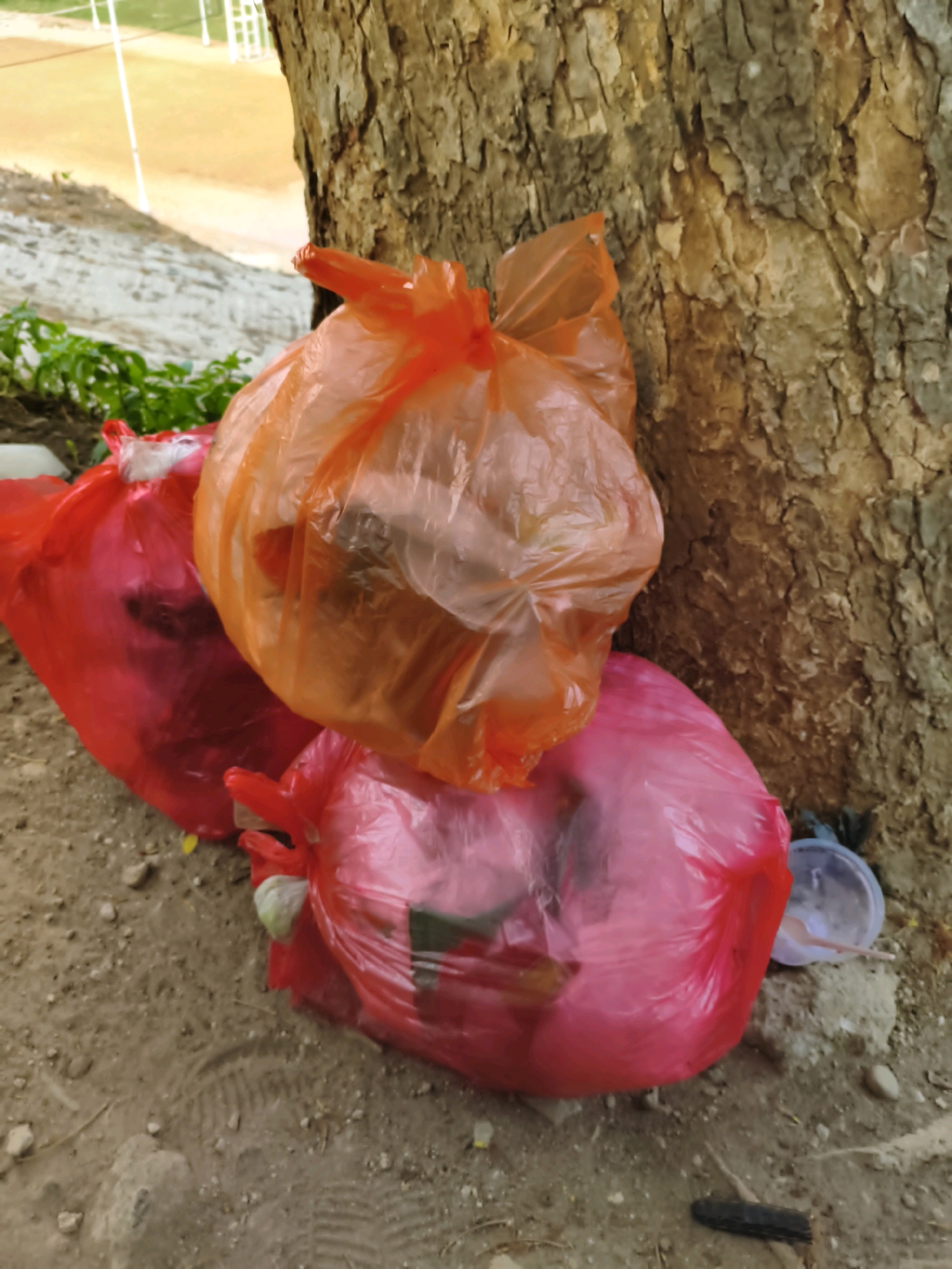 In Puhpelem, Indonesia, three brightly colored plastic trash bags, one orange and two pinkish-red, are piled against the base of a large, rough-barked tree. The bags appear full and are tied shut at the top. The ground beneath them is composed of dirt and small stones, with a visible footprint impression in the dirt. Green foliage is visible to the left of the trash bags, and further in the background, a flat, sandy area with white poles suggests a park or sports field. The lighting indicates it is daytime.