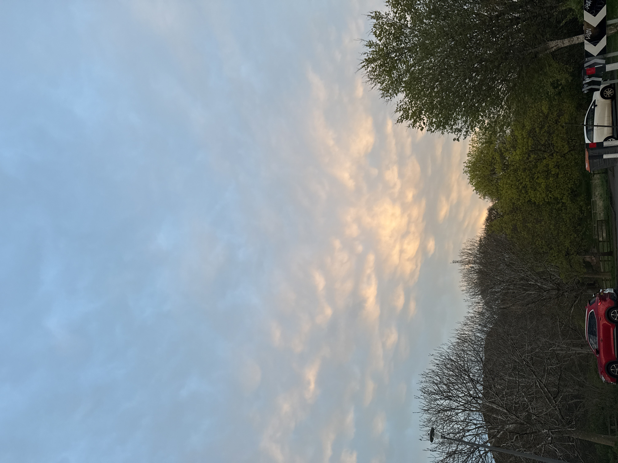 The image shows a sky with textured clouds illuminated by a sunset, transitioning from blue to orange hues. A row of trees lines the right side of the image, some with leaves, others bare. Cars are parked near the trees, a red car is prominent at the bottom and a white one further up. A streetlight is visible near the bottom of the frame. The scene appears to be in a residential area near trees and parked cars. The location is Unknown, Unknown.