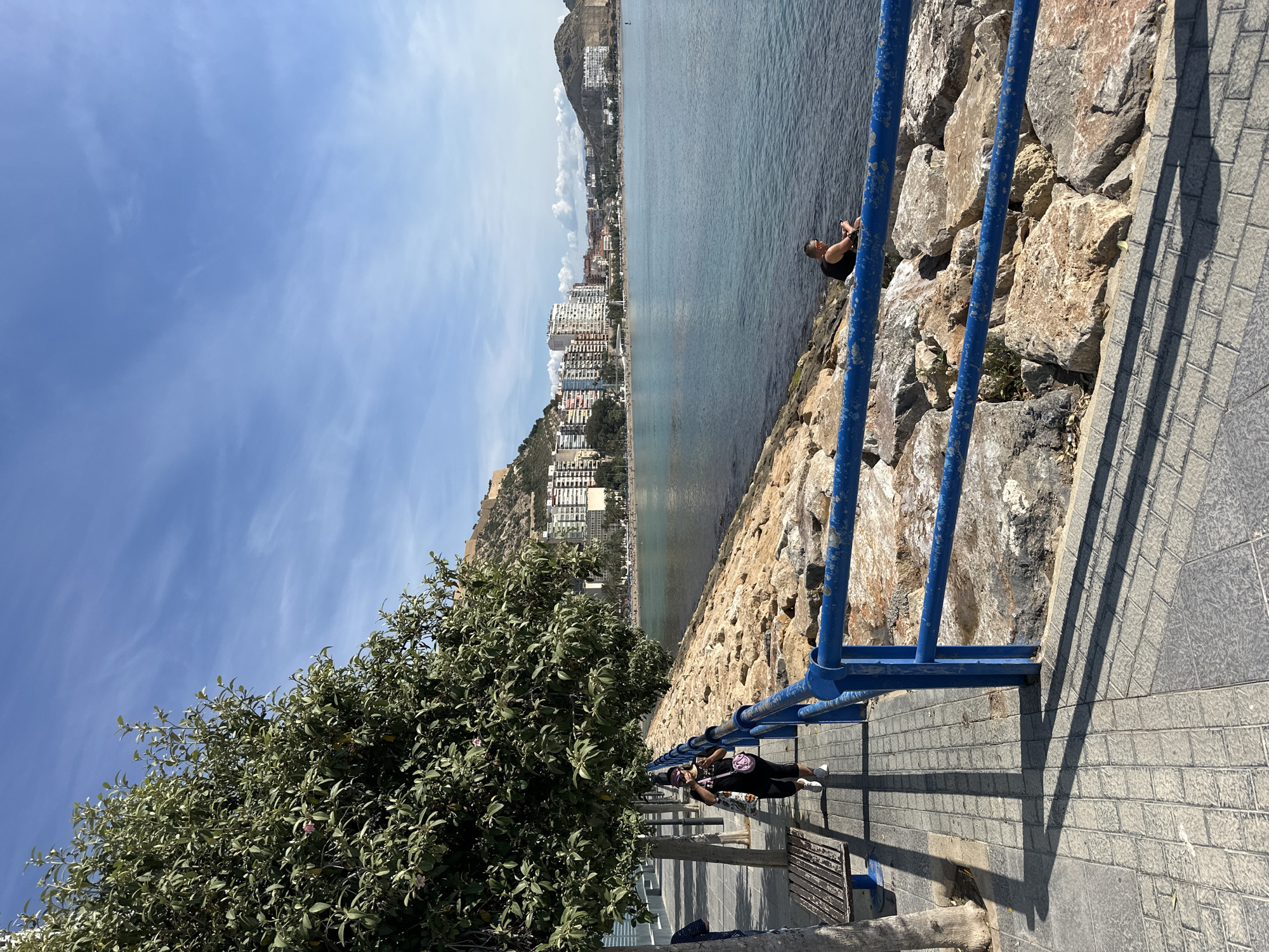 The image depicts a sunny, coastal scene with a promenade along the water. The location is likely a city in an unknown region. There are buildings in the background, adjacent to a mountain and body of water. In the foreground, there's a person sitting on large stones along the water's edge near a blue metal barrier. Further along the promenade, there's a woman with sunglasses and a purse taking a photo, likely of the landscape. A tree is adjacent to the woman. The walkway is paved with gray, rectangular tiles.