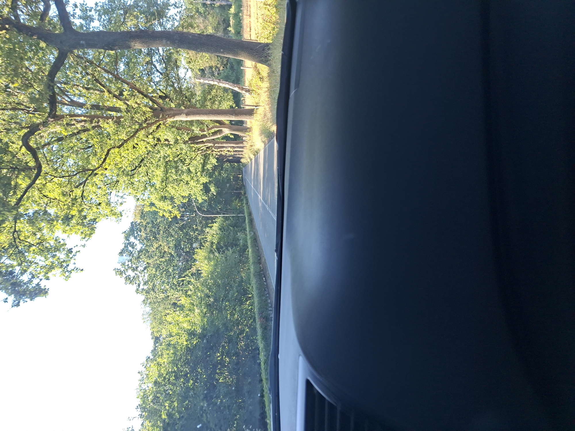 The image was captured from the perspective of a driver inside a vehicle on a paved road in Ranst, Belgium. The road is lined on the right by a row of tall, mature trees with dense green foliage. Beyond the trees, a field of dry grass and some sparse vegetation is visible. On the left side of the road, a line of manicured hedges runs along the verge, followed by more trees and foliage. The sky is bright and appears to be clear. The foreground of the image shows the dark interior of the car, specifically the dashboard.