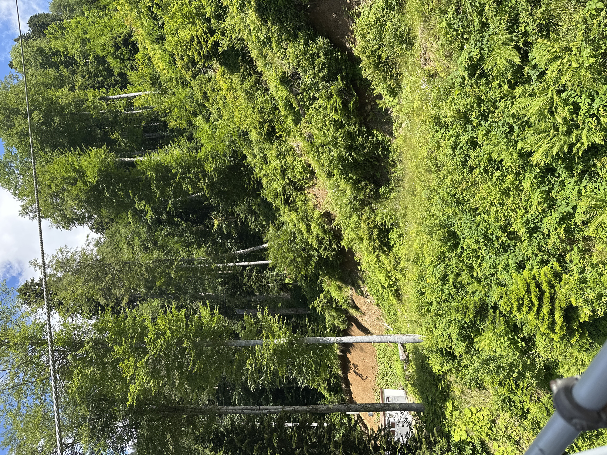 An outdoor, eye-level, medium shot shows a verdant mountainside covered in dense foliage and trees. The lush greenery of the underbrush, ferns, and various trees dominates the frame. A steep incline is visible, with some exposed earth in the mid-ground. In the lower left corner, a small, white, shed-like structure with a light-colored roof is partially visible amongst the trees. A metal cable stretches across the top of the image, suggesting the presence of a ski lift or zipline. The sky above is partly cloudy with patches of blue. The overall impression is one of a wild, natural, and undeveloped landscape.