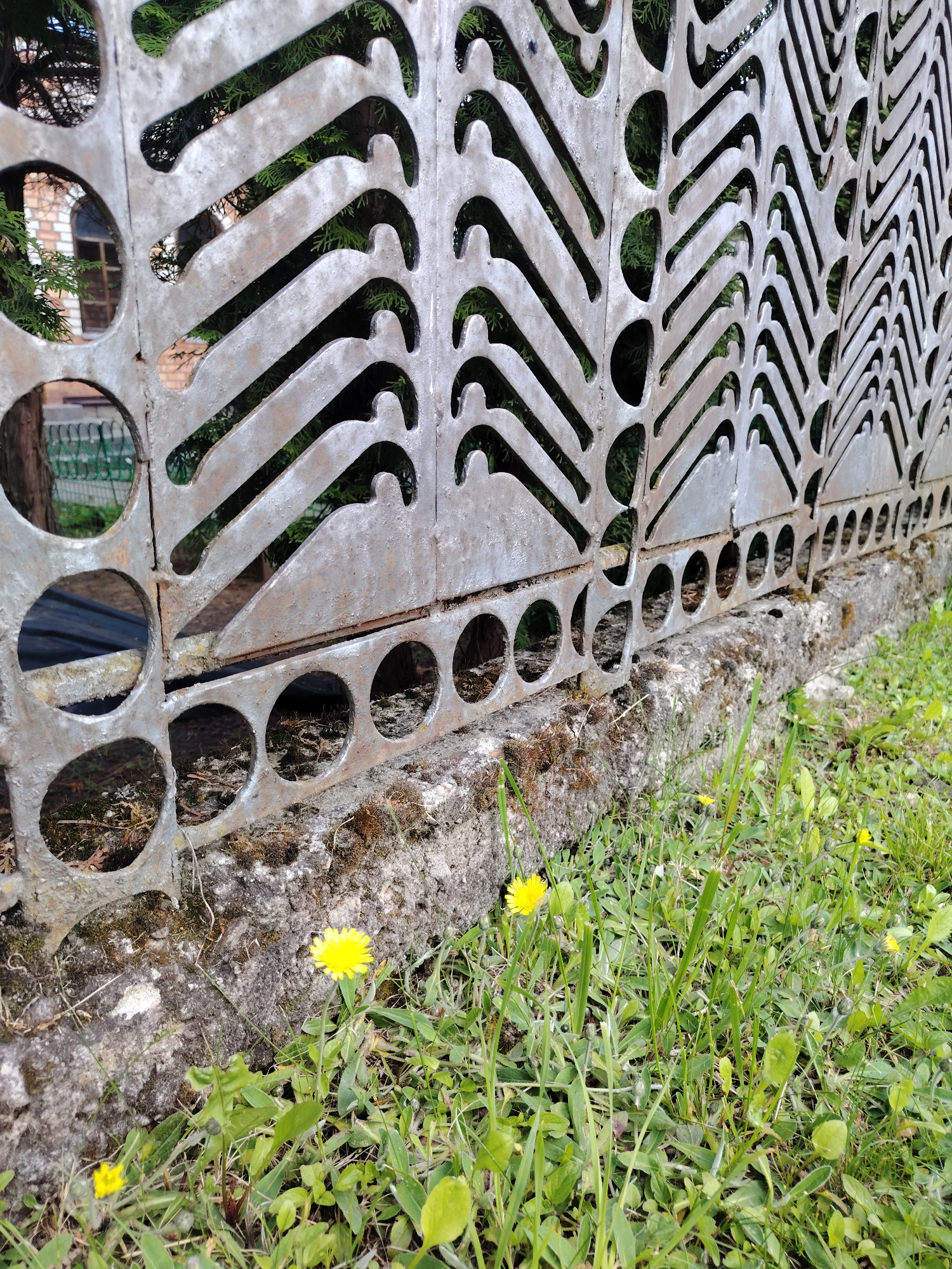 The image shows a close-up view of a metal fence situated along a concrete base, possibly a curb, in Бараўлянскі сельскі Савет, Belarus. The fence has a decorative pattern of circles and hook-like shapes cut out of the metal. There is a small building visible through the fence, suggesting the presence of urban or residential development in the background. The foreground is dominated by green grass with small yellow flowers, indicative of an outdoor setting. Moss grows on the concrete base where the fence sits.