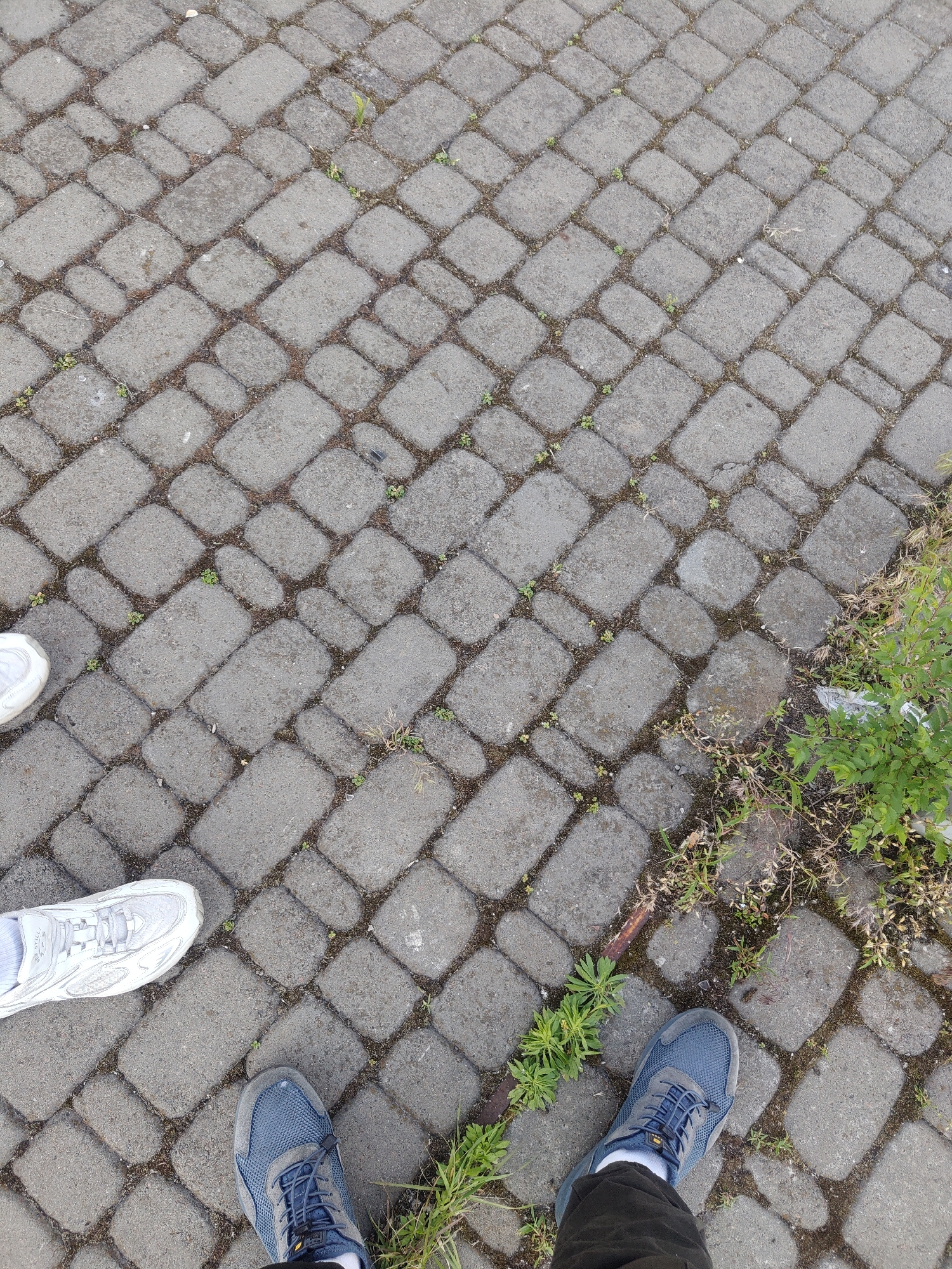 The image depicts a ground-level view of a paved walkway in Kyiv, Ukraine. The walkway is constructed from rectangular grey interlocking pavers arranged in a basket-weave pattern. Small patches of green grass and weeds are growing in the gaps between the pavers, indicating an outdoor environment that may be subject to less frequent maintenance or is in a naturalized area.
In the lower portion of the image, two pairs of feet are visible, suggesting two individuals are standing on the walkway, facing away from the camera. The left pair of feet is clad in a white athletic shoe. The right pair of feet is wearing a blue and grey athletic shoe.
To the right of the walkway, there is an area with more prominent vegetation, including green leafy plants and dried grass. A piece of white debris, possibly plastic, is visible amongst the foliage. The lighting suggests it is daytime, with diffuse light, hinting at an overcast sky or shaded conditions. The overall scene is mundane, depicting a common urban pedestrian surface.