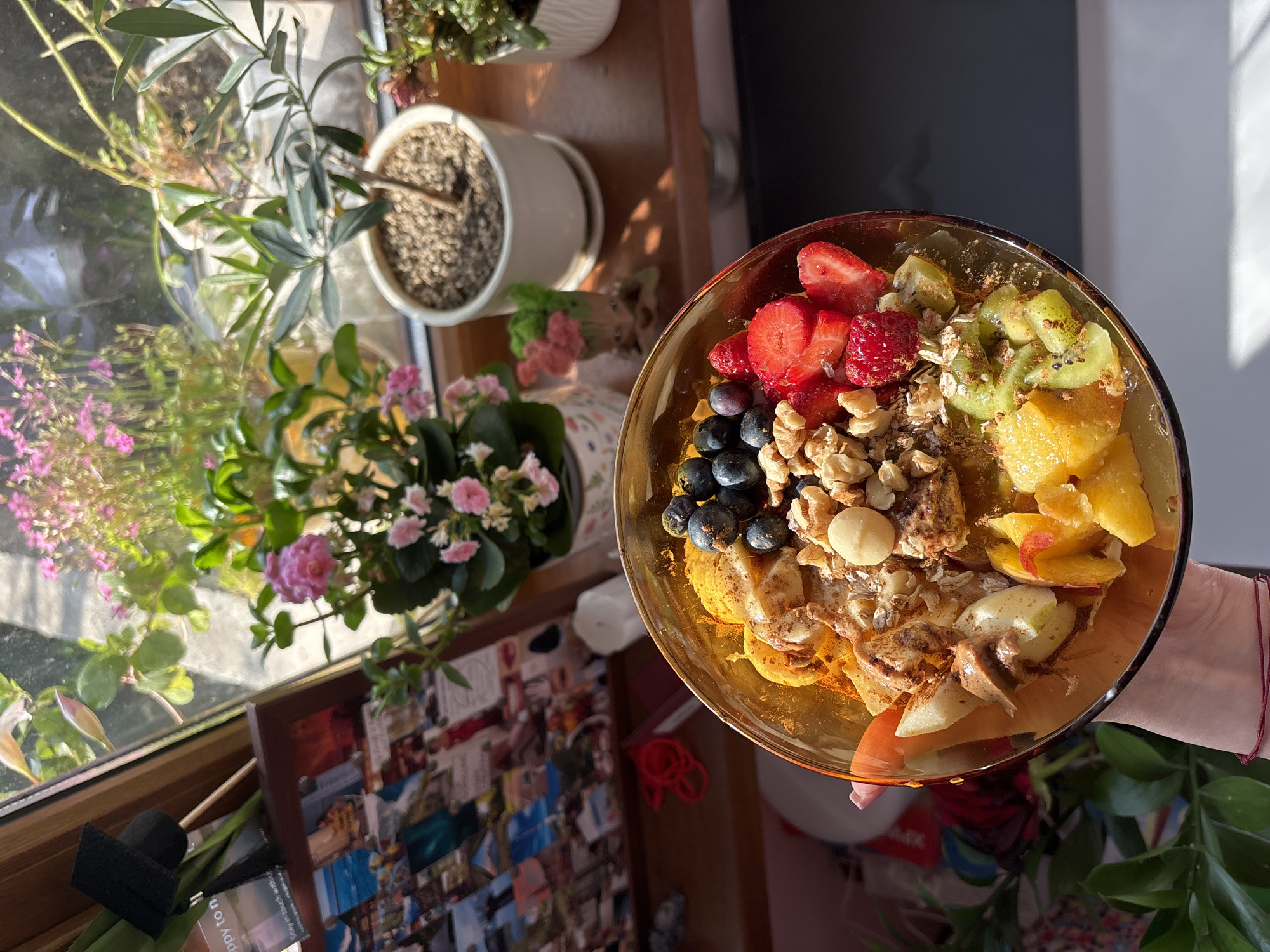 A high-angle, brightly lit photograph captures a person's hand holding a colorful bowl of fruit and granola, set against a backdrop of a sunlit window and potted plants.
The central subject is a clear, amber-tinted glass bowl, held by a light-skinned hand with a red string bracelet on the wrist. The bowl is filled with a vibrant assortment of fresh ingredients, including sliced red strawberries, dark blueberries, chopped green kiwi, diced yellow fruit (possibly mango or peaches), and sliced apples or pears. These are generously topped with a mix of walnuts, round white macadamia nuts, and what appears to be granola or rolled oats, all dusted lightly with a brown spice like cinnamon.
In the background, a sunny window illuminates several potted plants. On the top left, a plant with slender, light green leaves, possibly an olive tree, stands in a white pot. Below it and further to the right, two other plants with clusters of small pink flowers, resembling heather and Kalanchoe, add splashes of color. Strong, direct sunlight streams through the window, casting distinct shadows on the wall to the right and highlighting the foliage. Below the window, a wooden surface supports what appears to be a framed board covered with a collage of numerous small photographs or postcards. A small black object, possibly a pen holder, is also visible on this surface. Faint text "April 10" is discernible on a piece of paper in the bottom left corner, partially obscured.
The image suggests an indoor setting, likely a home, during a sunny morning or late afternoon, emphasizing freshness, health, and a pleasant, calm atmosphere.