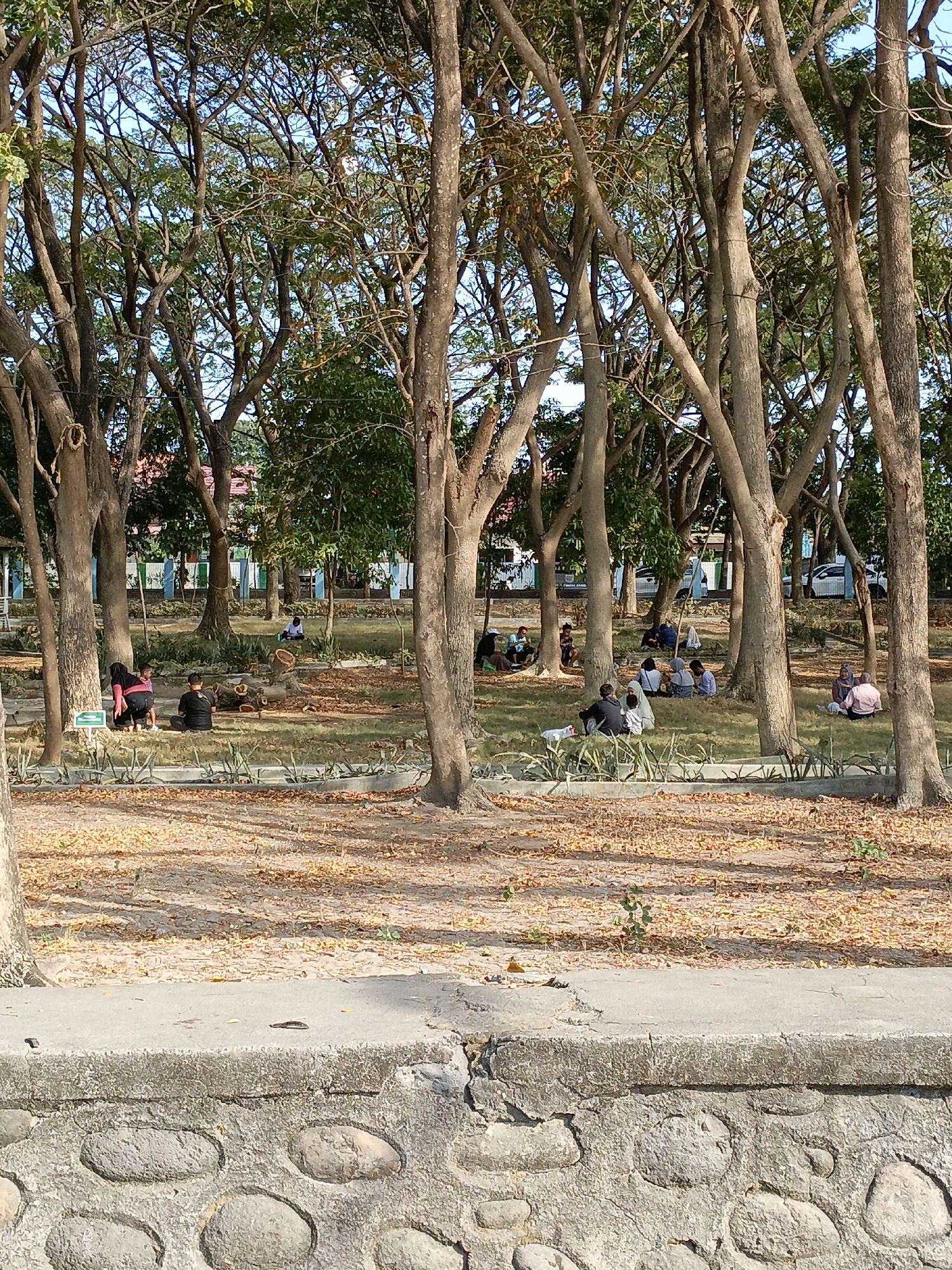 The image depicts a park scene in Bulukumba, Indonesia, likely during daylight hours. A group of people are scattered across a grassy area, some sitting on the ground, others appearing to be conversing or relaxing. The park is densely populated with mature trees, casting shadows on the ground, and fallen leaves are visible on the earth. In the background, buildings and parked vehicles suggest the presence of a developed area adjacent to the park. The foreground features a stone wall and a concrete barrier, indicating a demarcated pathway or boundary. The overall impression is one of a tranquil public space, utilized by locals for recreation and gathering.