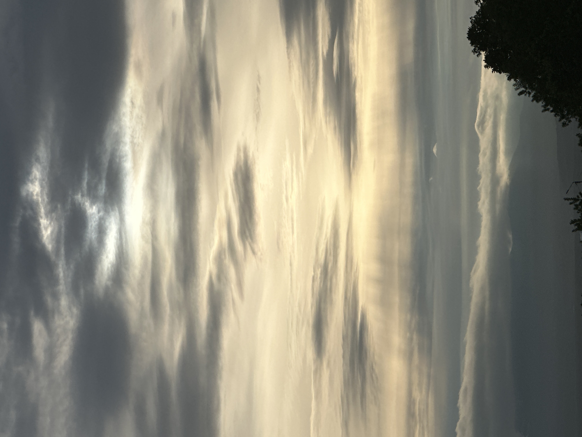 This is a vertical, medium-shot photograph of a cloudy sky over a mountainous landscape, possibly taken from a high vantage point within or near Petropavlovsk-Kamchatsky, Russia. The sky dominates the upper two-thirds of the frame, featuring layers of clouds in varying shades of gray and white, with streaks of pale yellow sunlight breaking through in the middle distance. These sunbeams create a visible ray effect, illuminating a section of the clouds from below. The lower third of the image shows a silhouette of dark, layered mountain ranges, with a faint impression of a valley or plains below. On the far right, the dark silhouette of lush green foliage and trees extends upwards into the frame. The lighting suggests either dawn or dusk. There are no discernible people or active subjects in the image, only the natural environment.