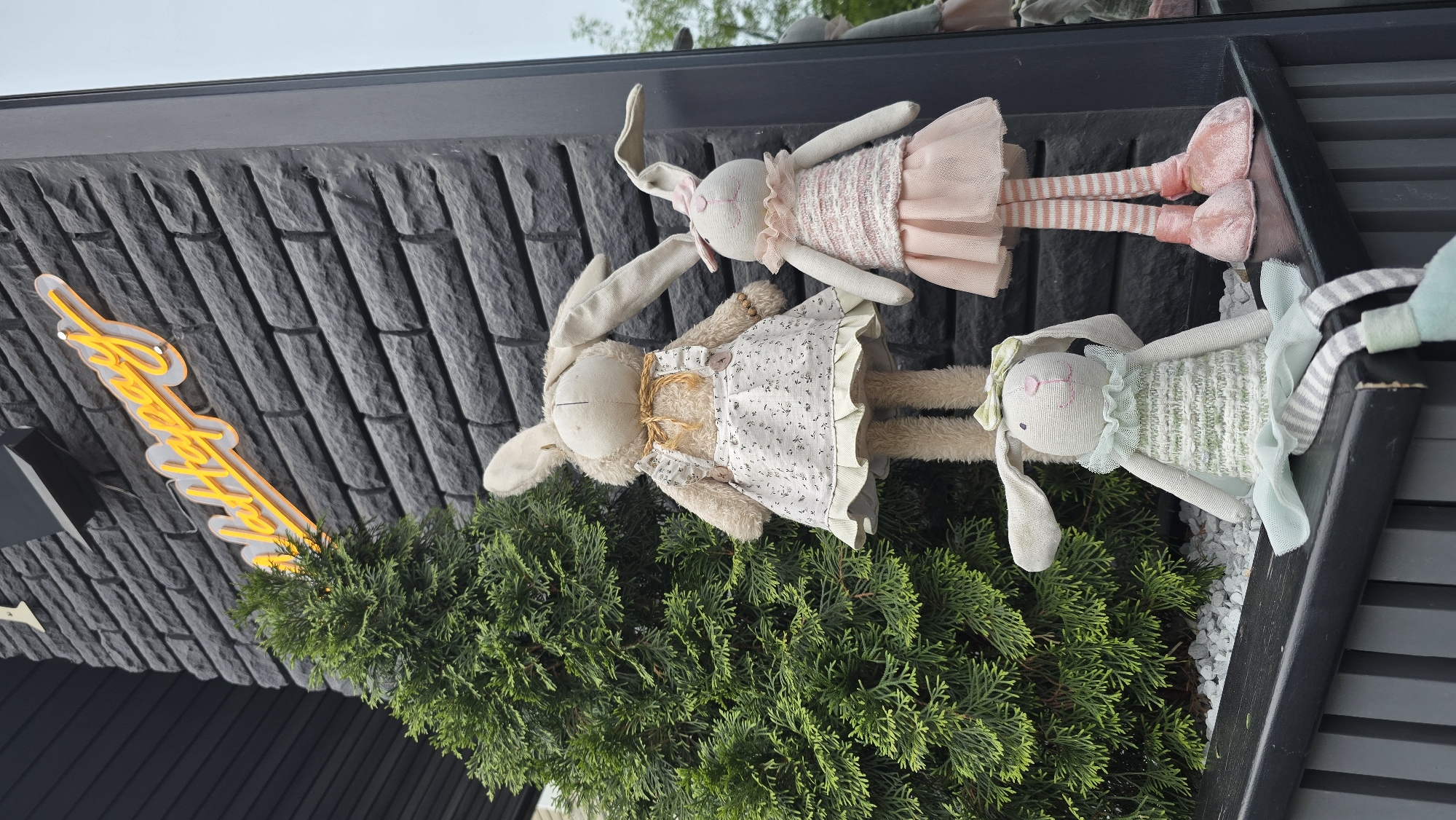 Three plush bunny toys are prominently displayed on a dark outdoor ledge against a textured dark grey brick wall. To the left, a vibrant green coniferous shrub grows from white decorative stones. A bright yellow neon sign, reading "Ватруша" in cursive Cyrillic script, is mounted on the brick wall above the bunnies. The largest bunny, positioned centrally, is beige, wears a white floral dress with ruffles, and has a straw-colored bow. To its right stands a medium-sized lighter bunny in a pink ruffled top, pink tulle skirt, striped stockings, and pink shoes, adorned with a pink bow on its head. Seated at the bottom, slightly to the left, is the smallest bunny, light green, wearing a ruffled top and skirt, with striped grey and white legs and a light green checkered bow. The upper left of the image shows dark horizontal building siding. A reflective surface on the far right captures a faint, blurred reflection of a person and the surrounding environment under an overcast sky. The neon sign "Ватруша" indicates the location is a "Vatrusha" bakery or cafe in Kyiv, Ukraine.