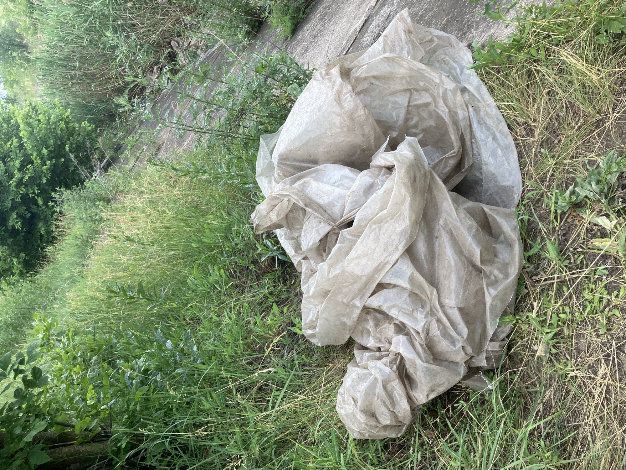 A pile of crumpled, light-colored plastic sheeting lies on the ground next to a grassy slope. The sheeting is wrinkled and appears to be dirty. Surrounding the plastic are various green plants and tall grasses. In the background, a textured, sloping surface, possibly concrete or asphalt, is visible, also covered in some vegetation. The overall scene suggests an outdoor, possibly neglected, area. The location is identified as Berdiansk, Ukraine.